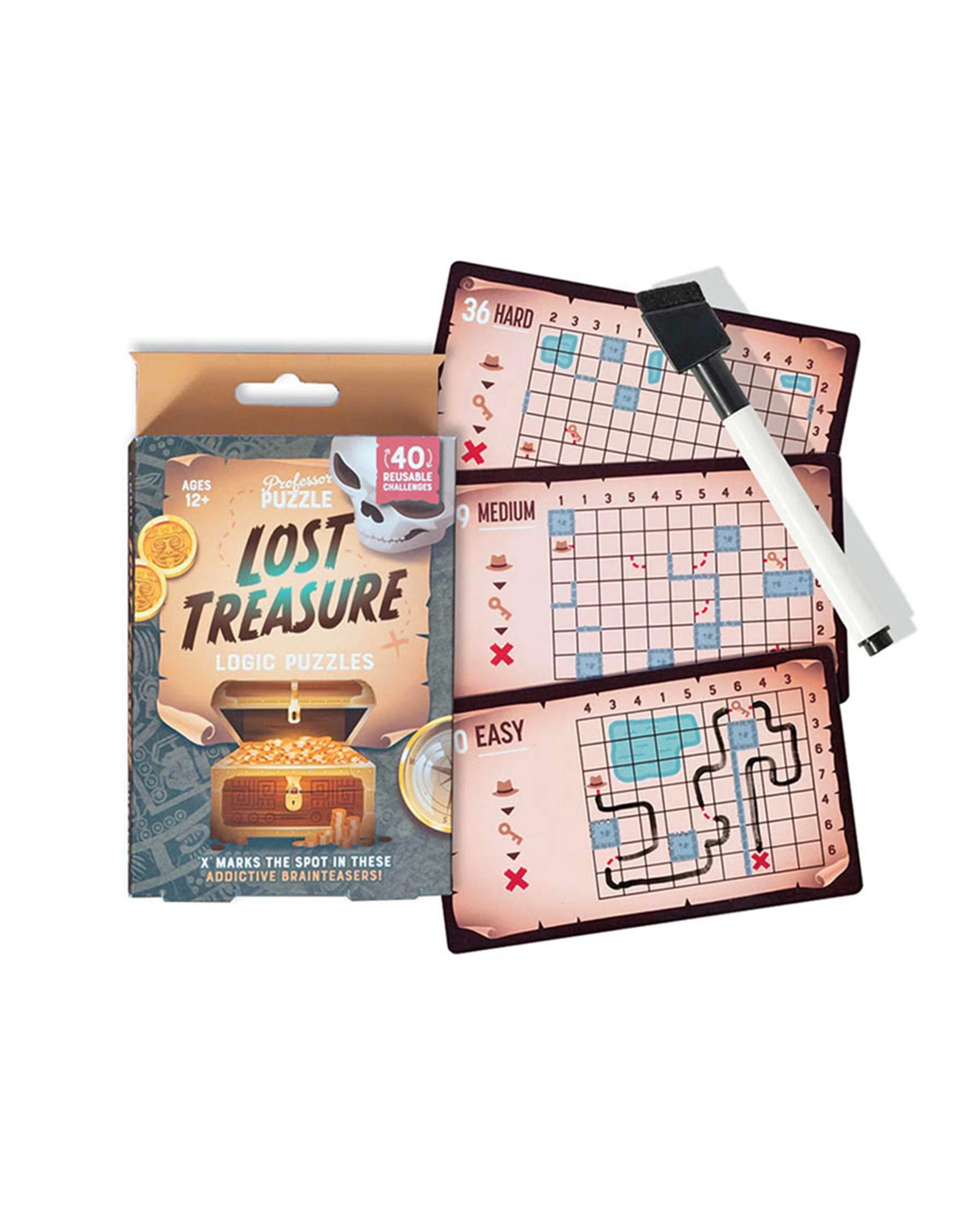 2 Lost Treasure Professor Puzzle Logic Puzzles, 2 of 3