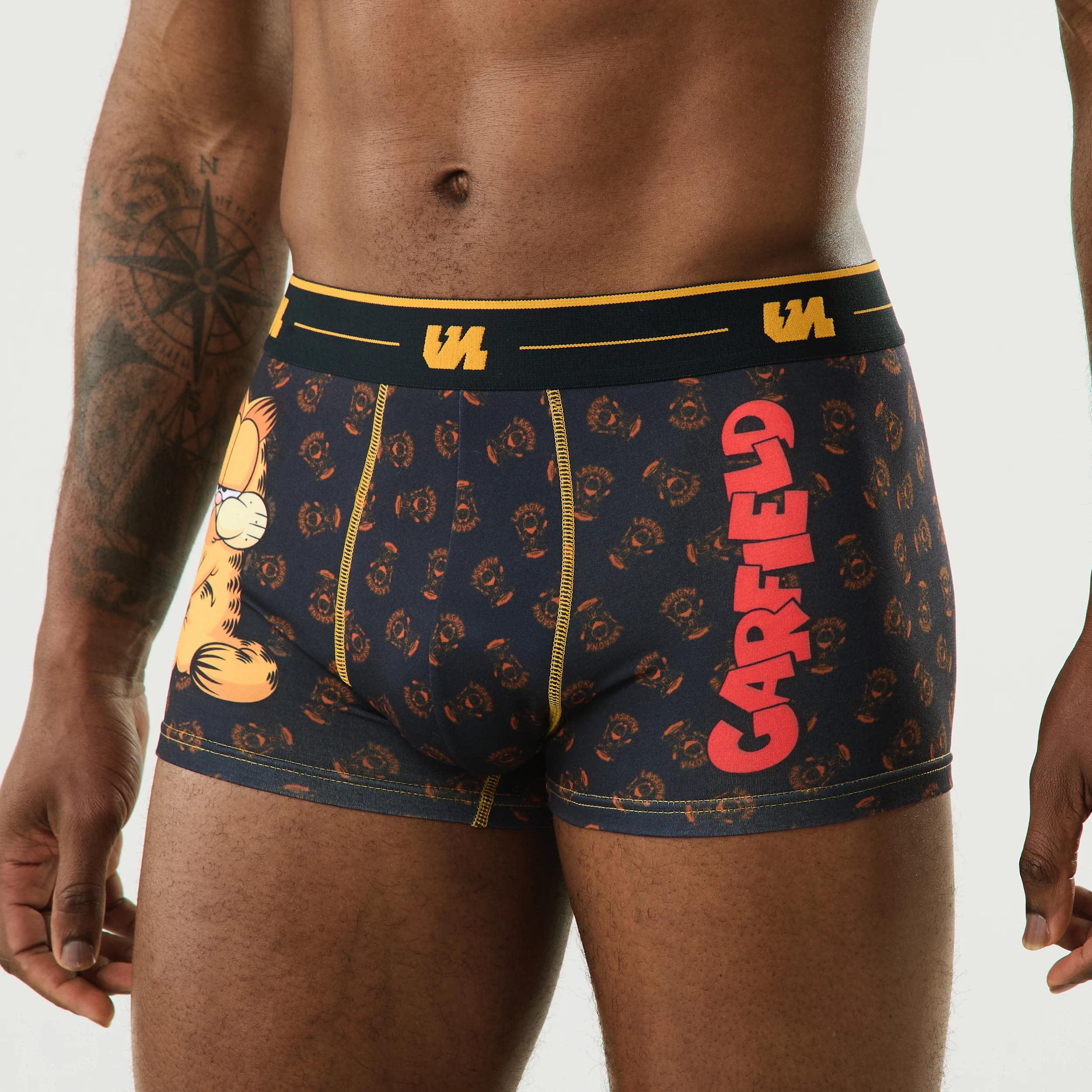 2 License Trunks GARFIELD, 2 of 6