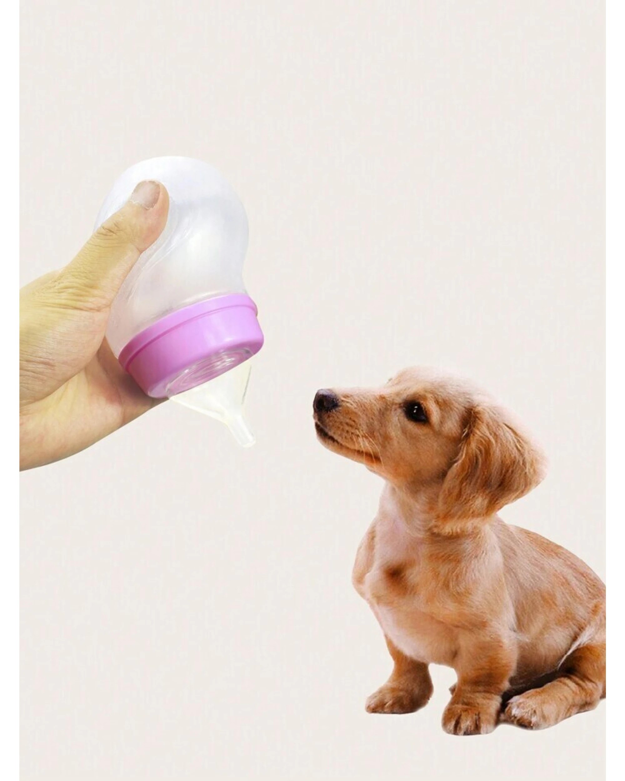 6 Pet Nursing Bottle Kit 3-Piece Set for Puppies and Kittens, 6 of 6
