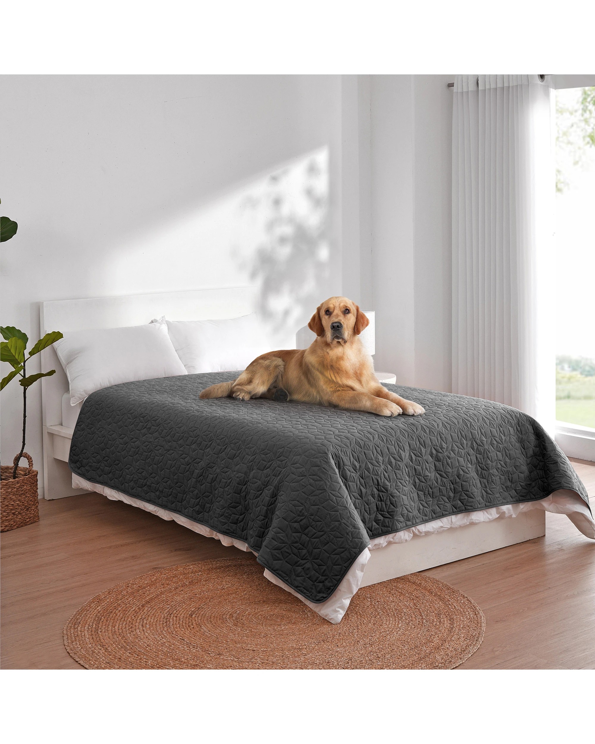 2 Charlie's Sofur Waterproof Dog Bed Cover Protector Double/Queen 208x208cm - Double/Queen - Charcoal, 2 of 10