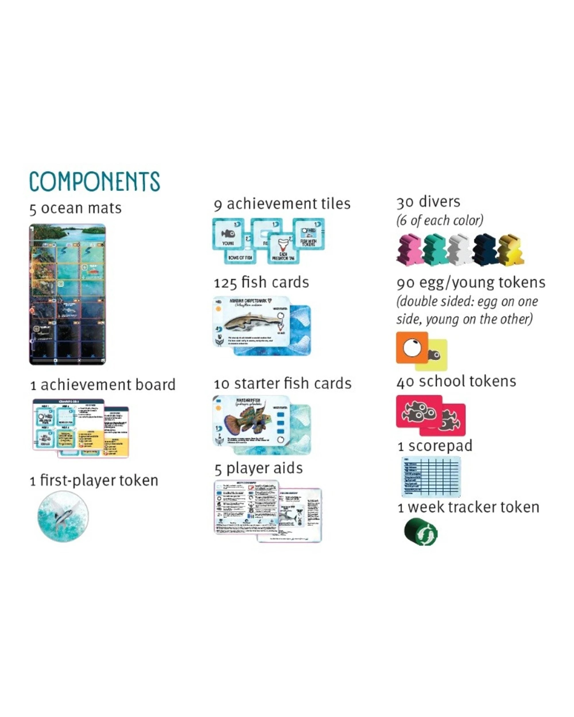 3 Finspan Board Game, 3 of 6