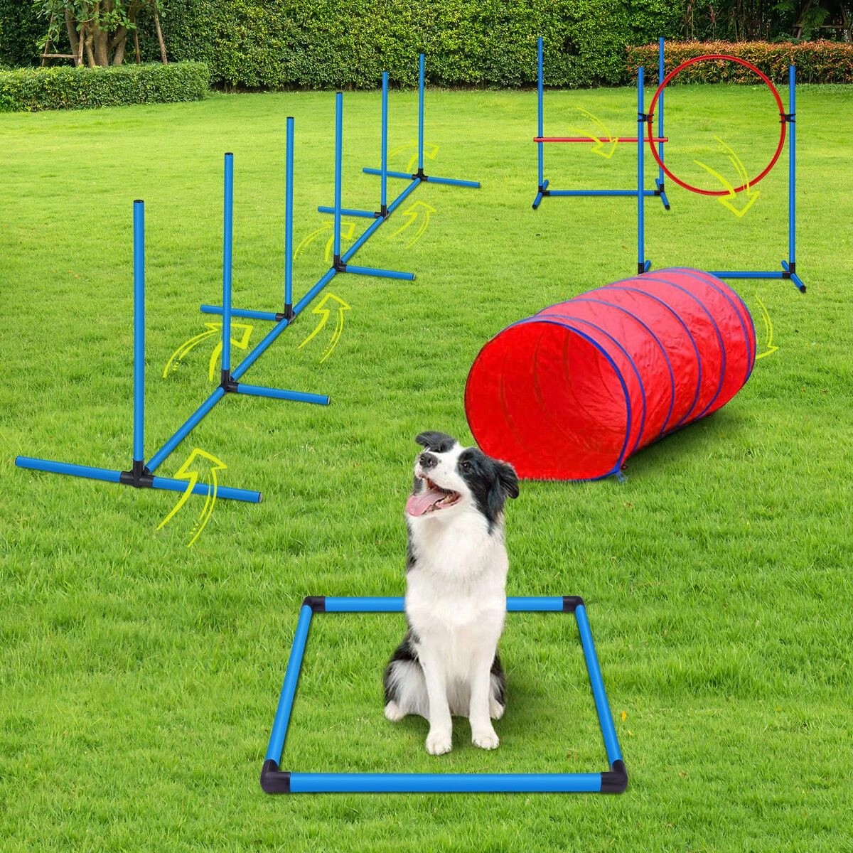 6 Petscene Dog Agility Equipment 5PC Set, 6 of 7