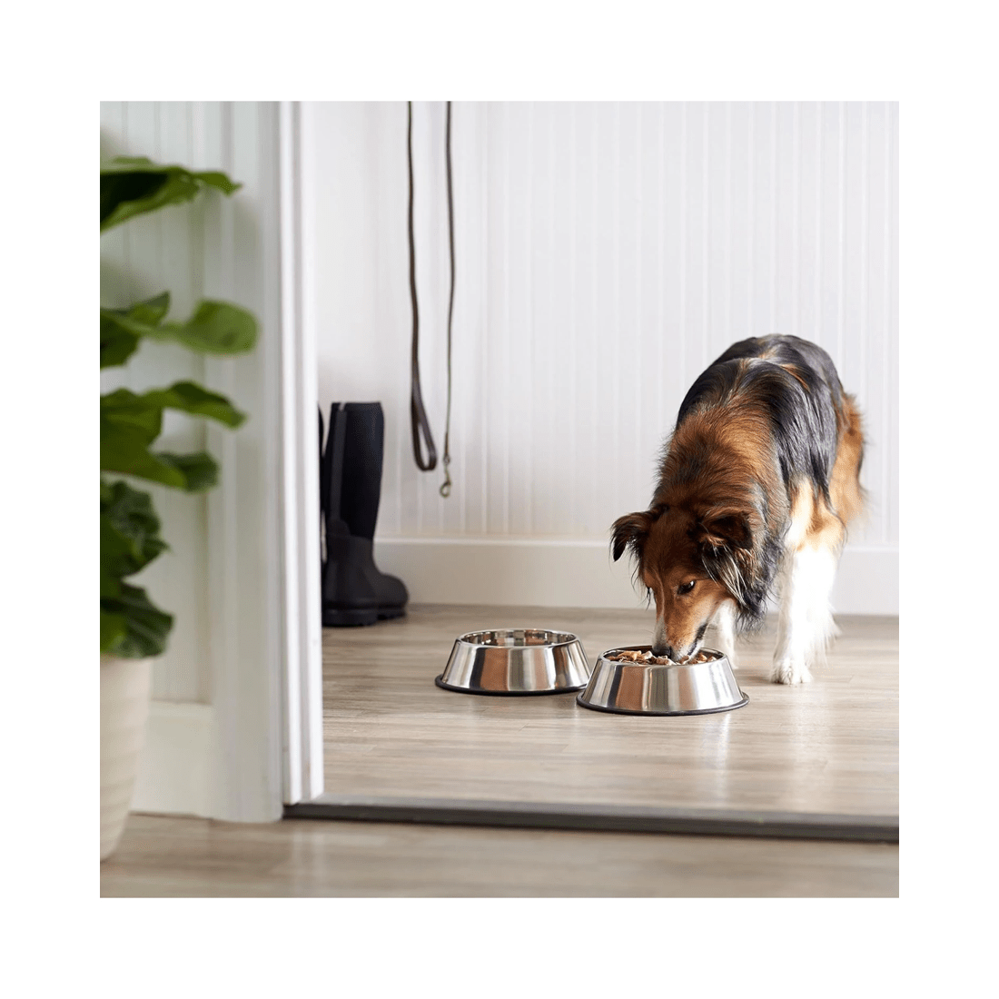 2 BR Pets Non Slip Stainless Steel Dog Bowl Pet Cat Water Food Feeder Portable Puppy Dish - Small (150ml), 2 of 5