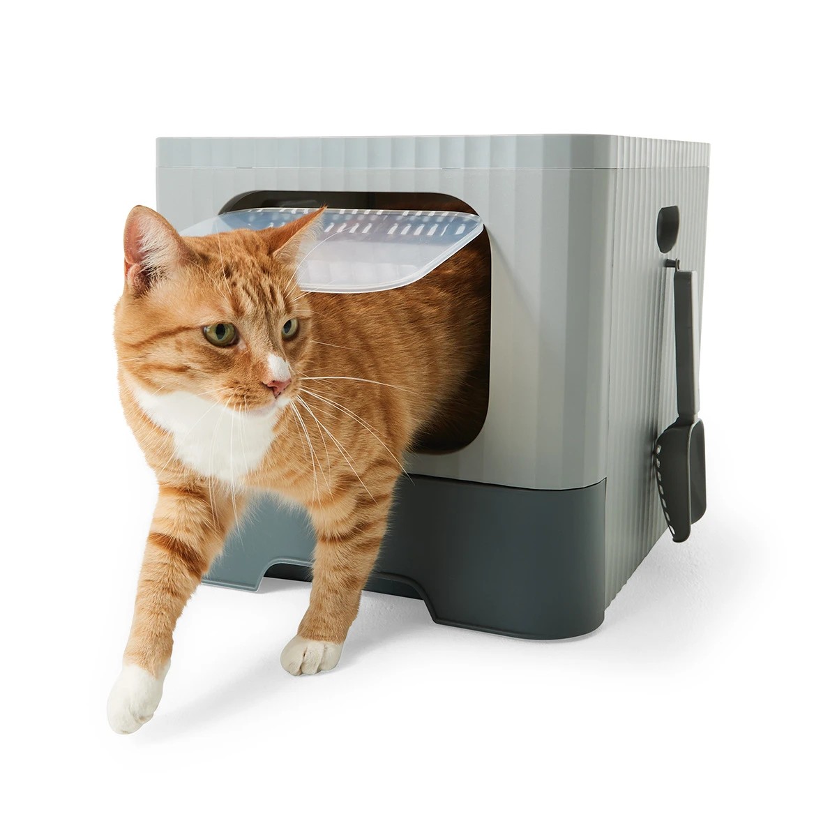 1 Cat Litter Box Dual Entry, 1 of 10