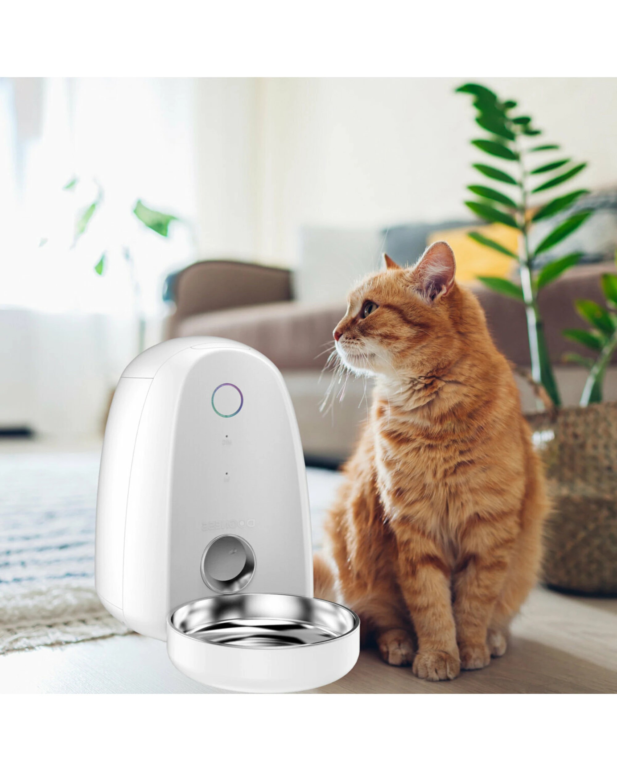 4 Dogness Smart Compact Auto Pet Feeder, 4 of 4