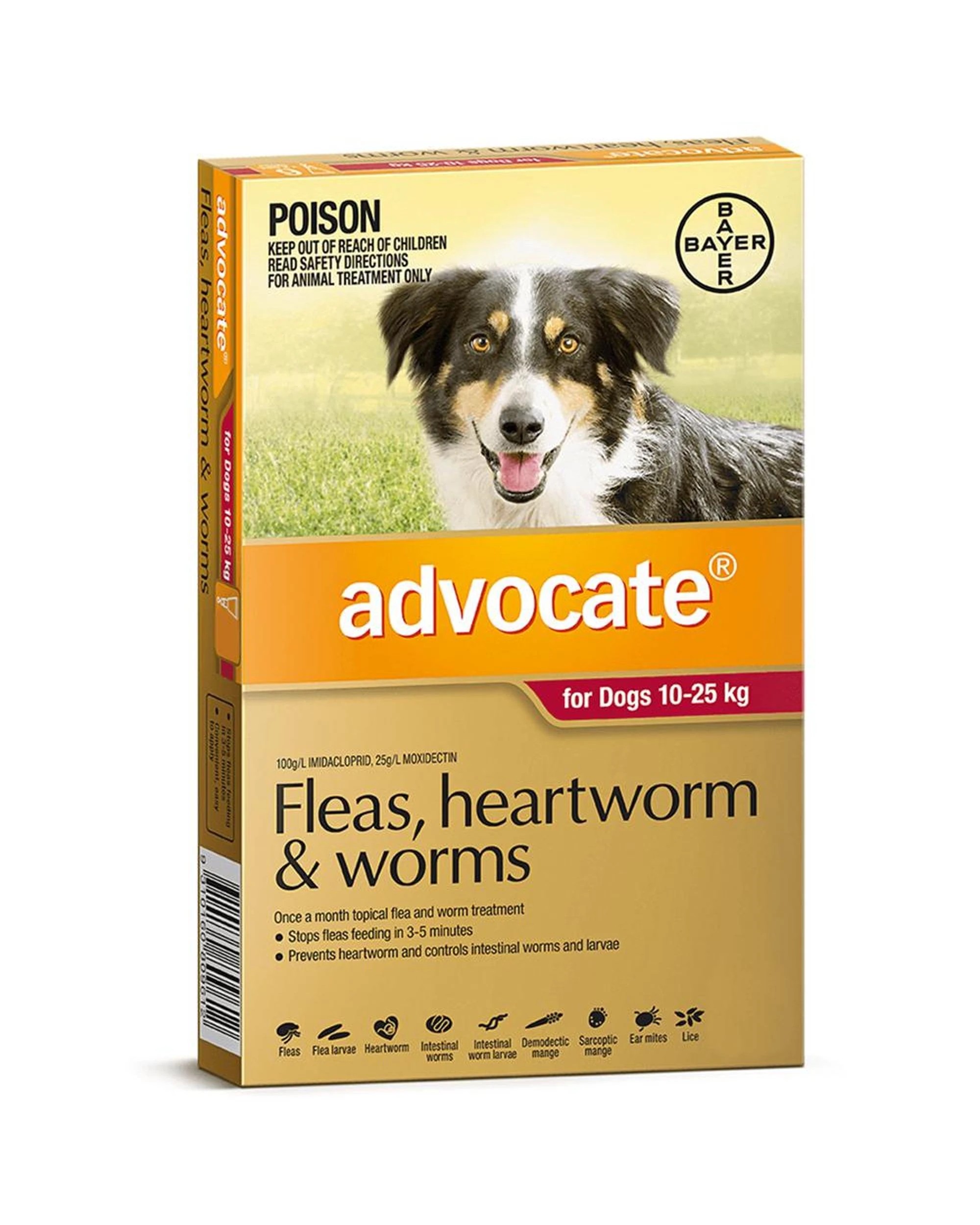 1 Advocate Large Dog 10-25kg Red Spot On Flea Wormer Treatment 1 Pack, 1 of 1
