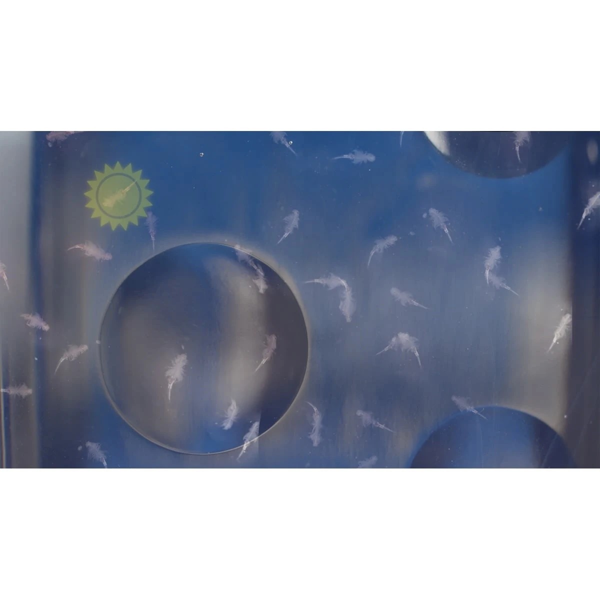 9 Sea Monkeys Ocean Zoo Playset - Assorted, 9 of 9