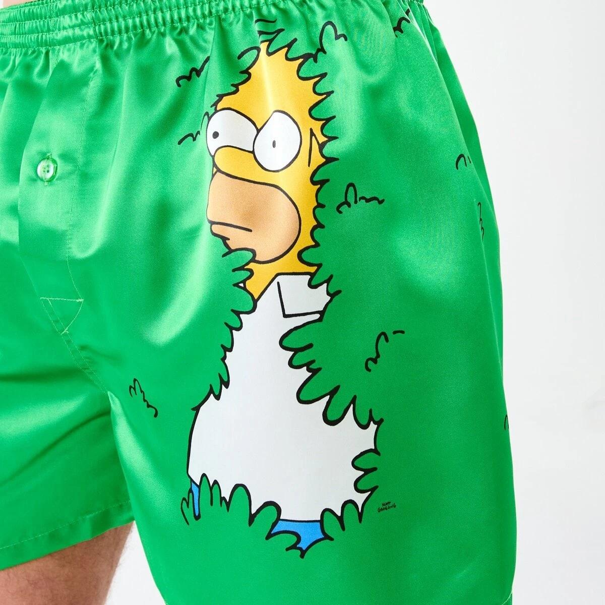 4 Simpsons License Boxers Homer Bush, 4 of 5