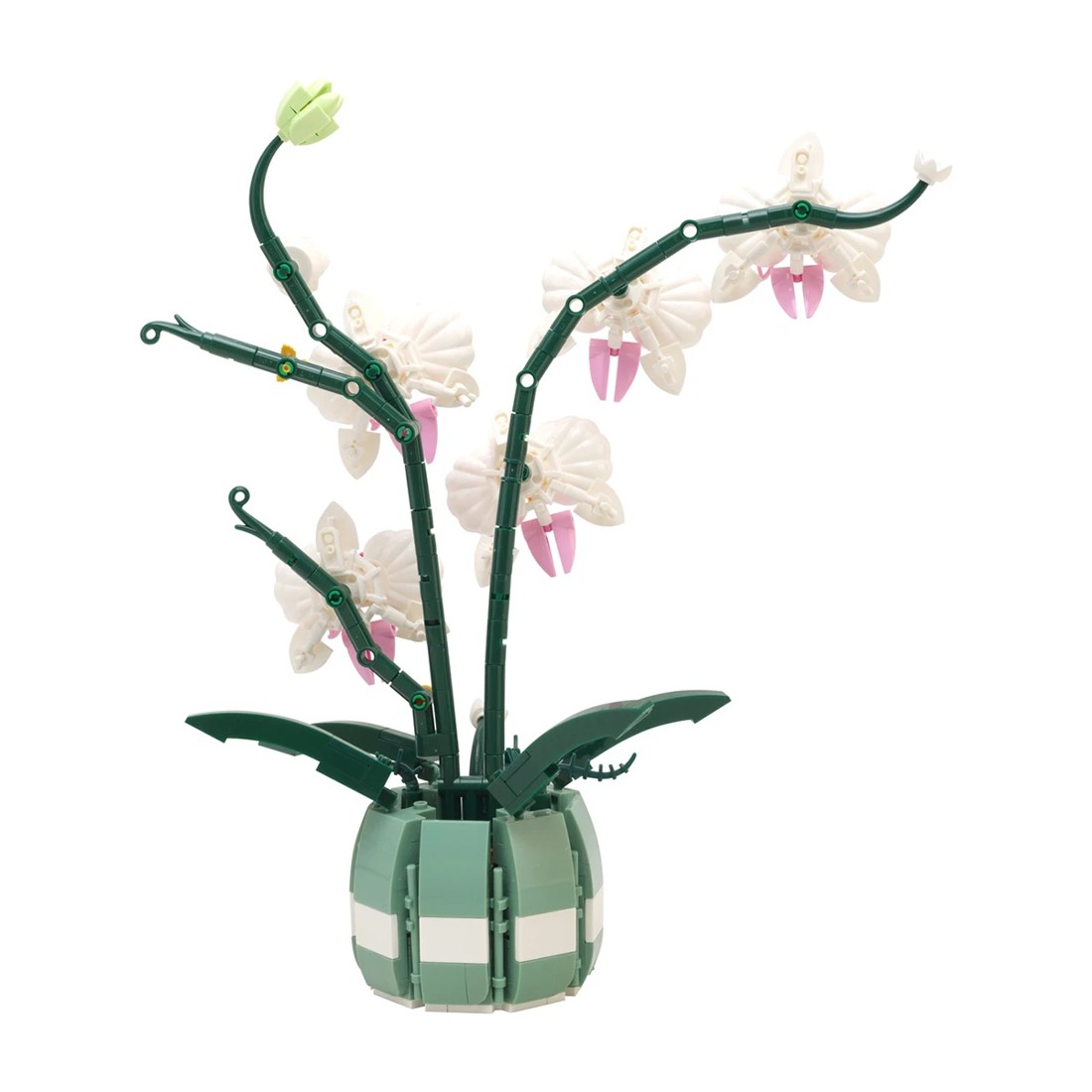 3 Mini Blocks Flower Series: Orchid - Assorted, 3 of 6