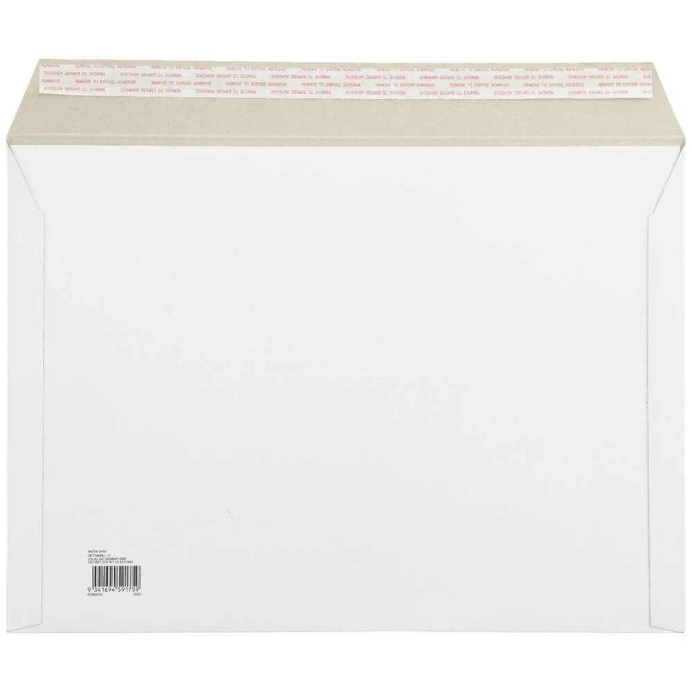 2 PPS Rigid Envelope A3, 2 of 2