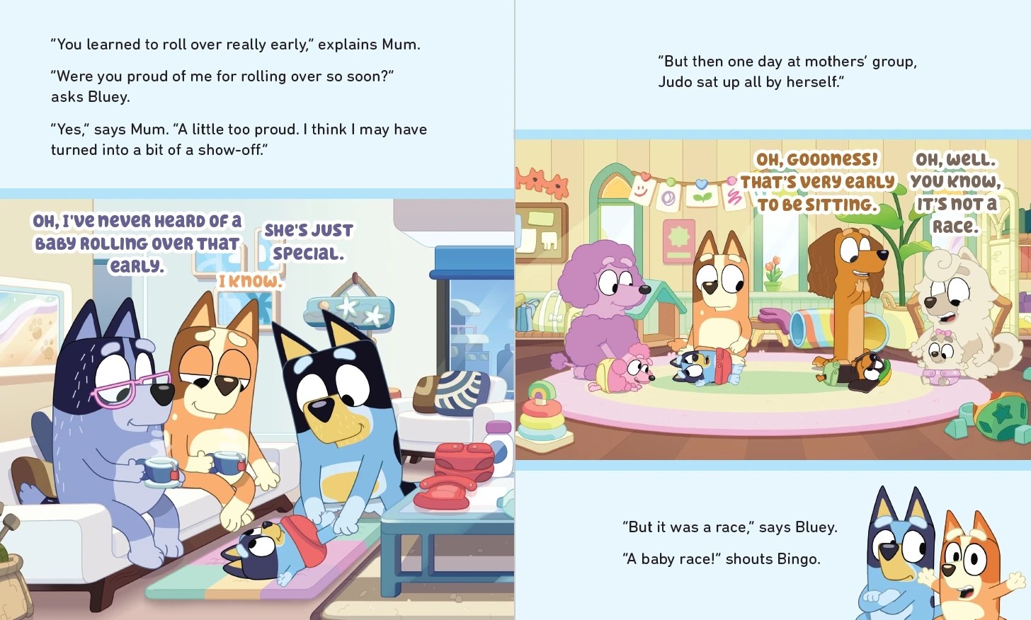 4 Bluey: Baby Race - Book, 4 of 4