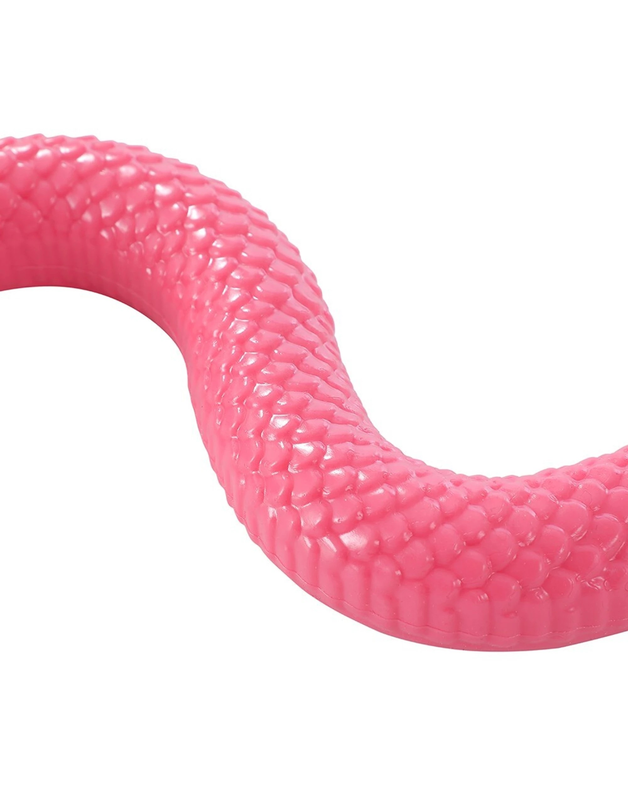 5 Paws And Claws 2PK Flexi Snake Vinyl Pet Toy Strong Flexible Structure 41cm - Multi, 5 of 5