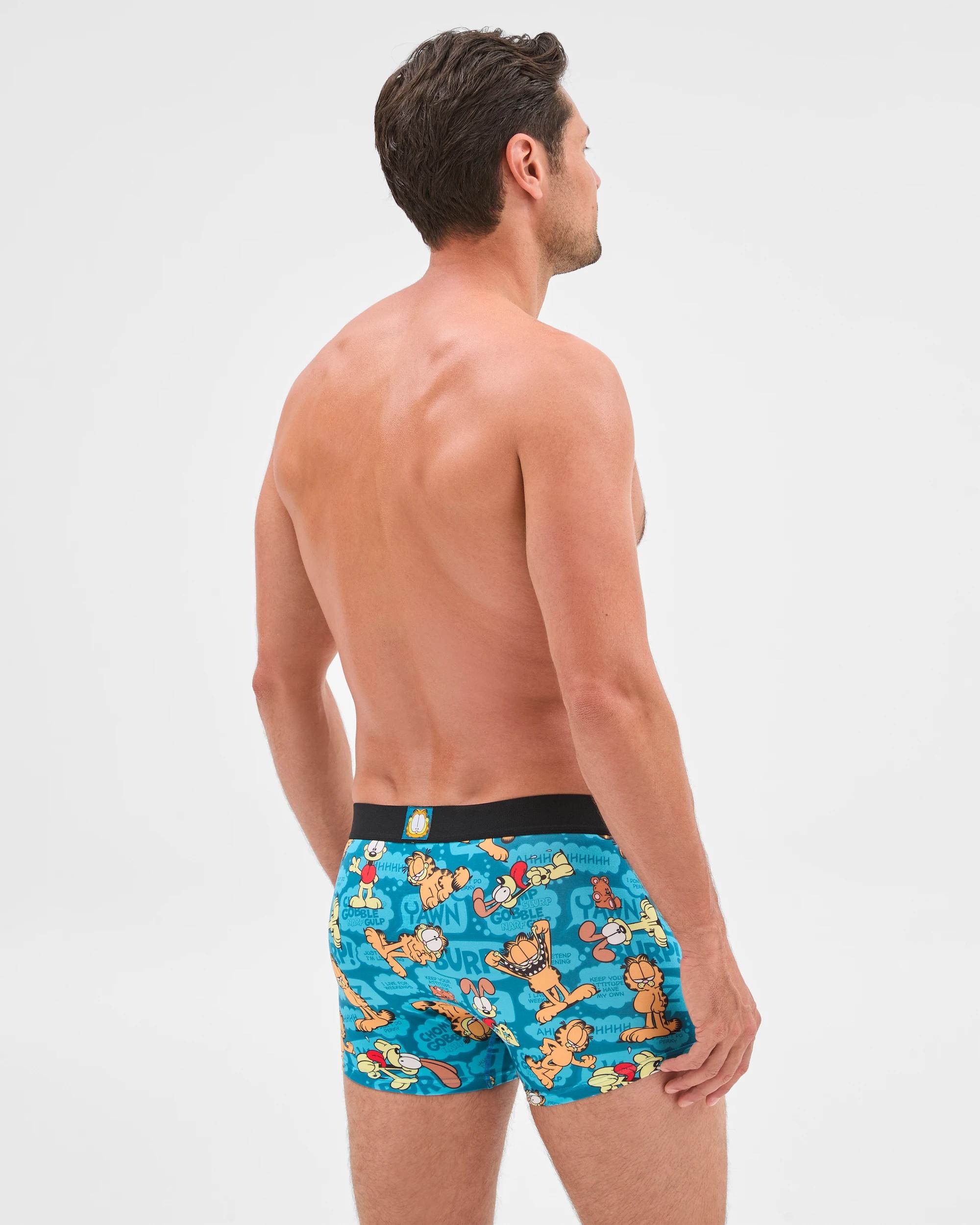 2 Garfield Trunks - Swag GARFIELD, 2 of 4