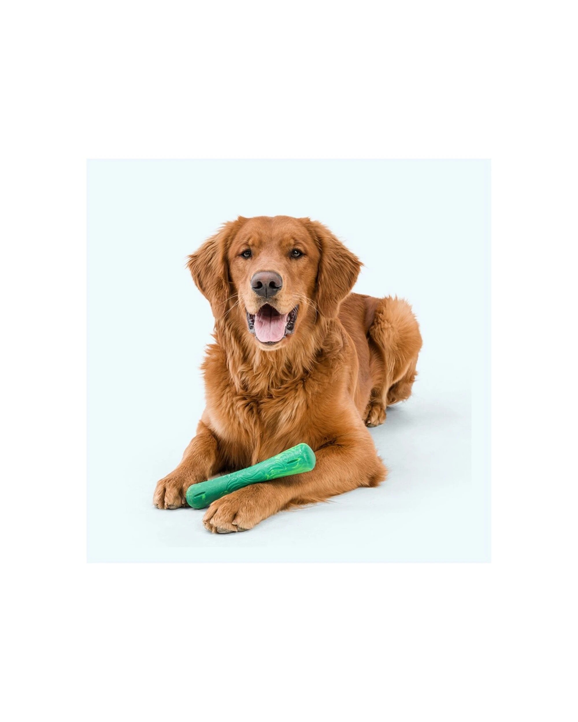 3 West Paw Drifty Bone Dog Chew Toy Floats In Water Eco-Friendly Non-Toxic Small - Green, 3 of 3