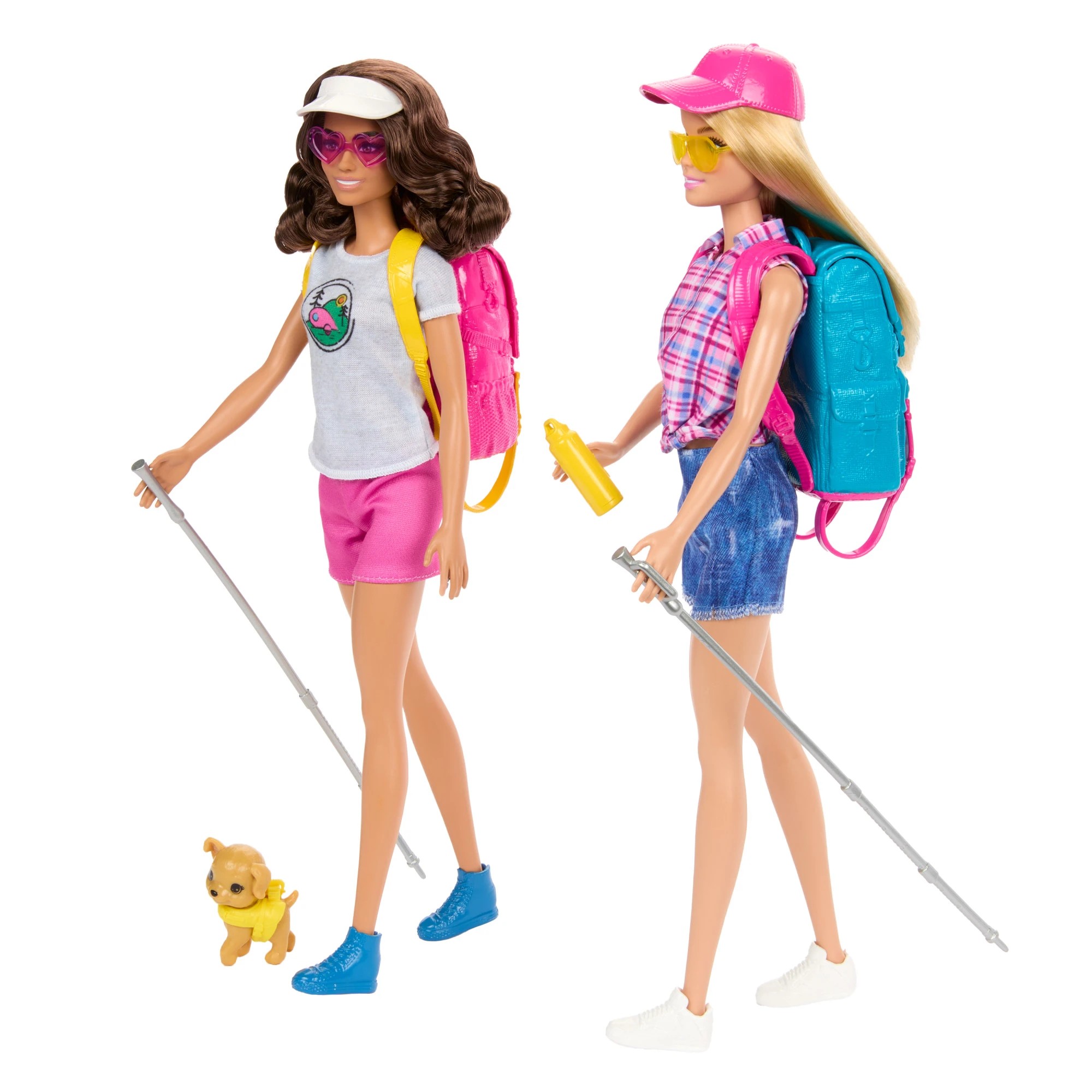 5 Barbie Dolls and Camping Accessories Playset, 5 of 6