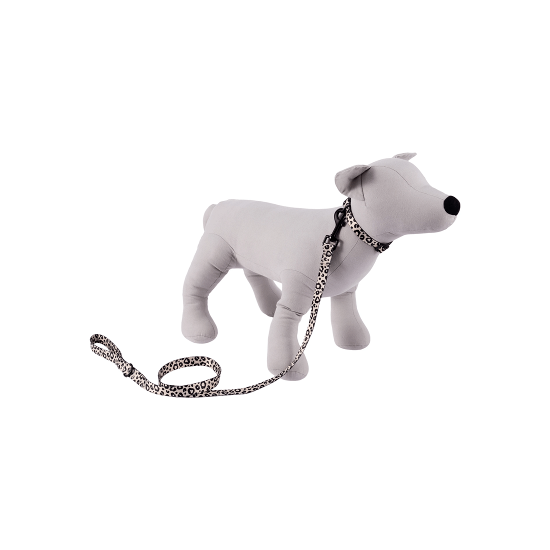 6 Leopard Collar Walking Set - Small, 6 of 7