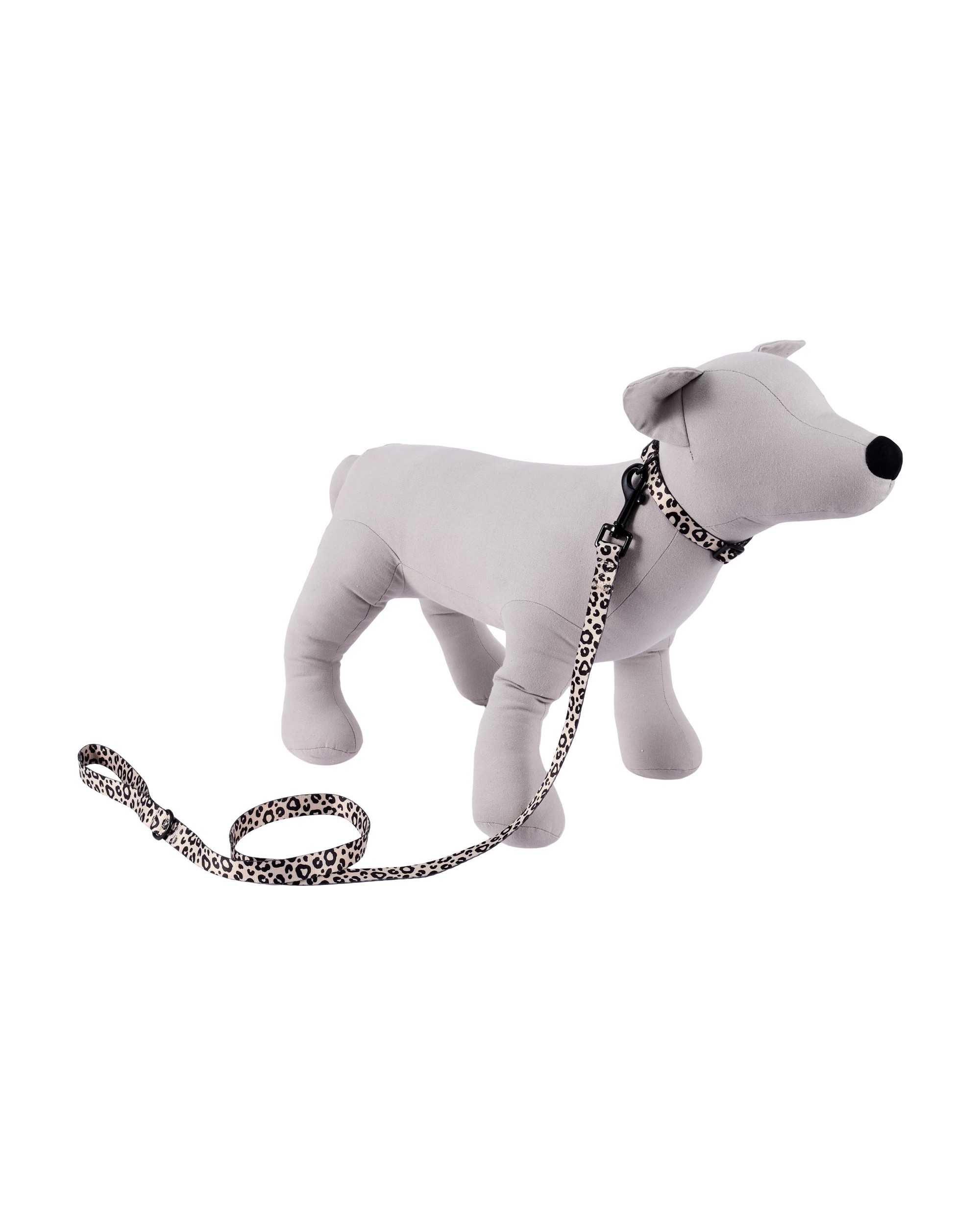 6 Leopard Collar Walking Set - Small, 6 of 7