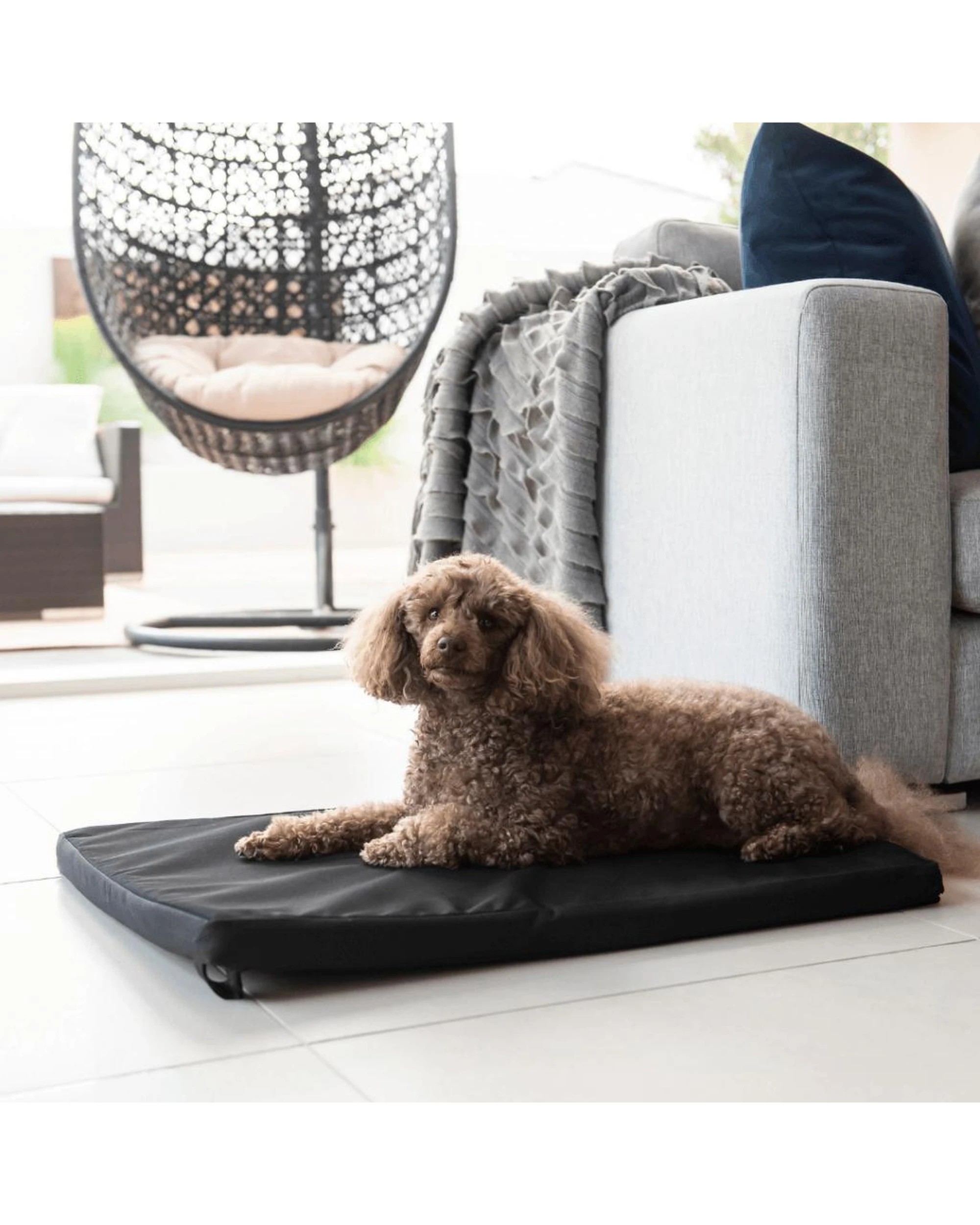 2 Superior Pet Canvas Foam Portable Dog Mat Bed Large, 2 of 3