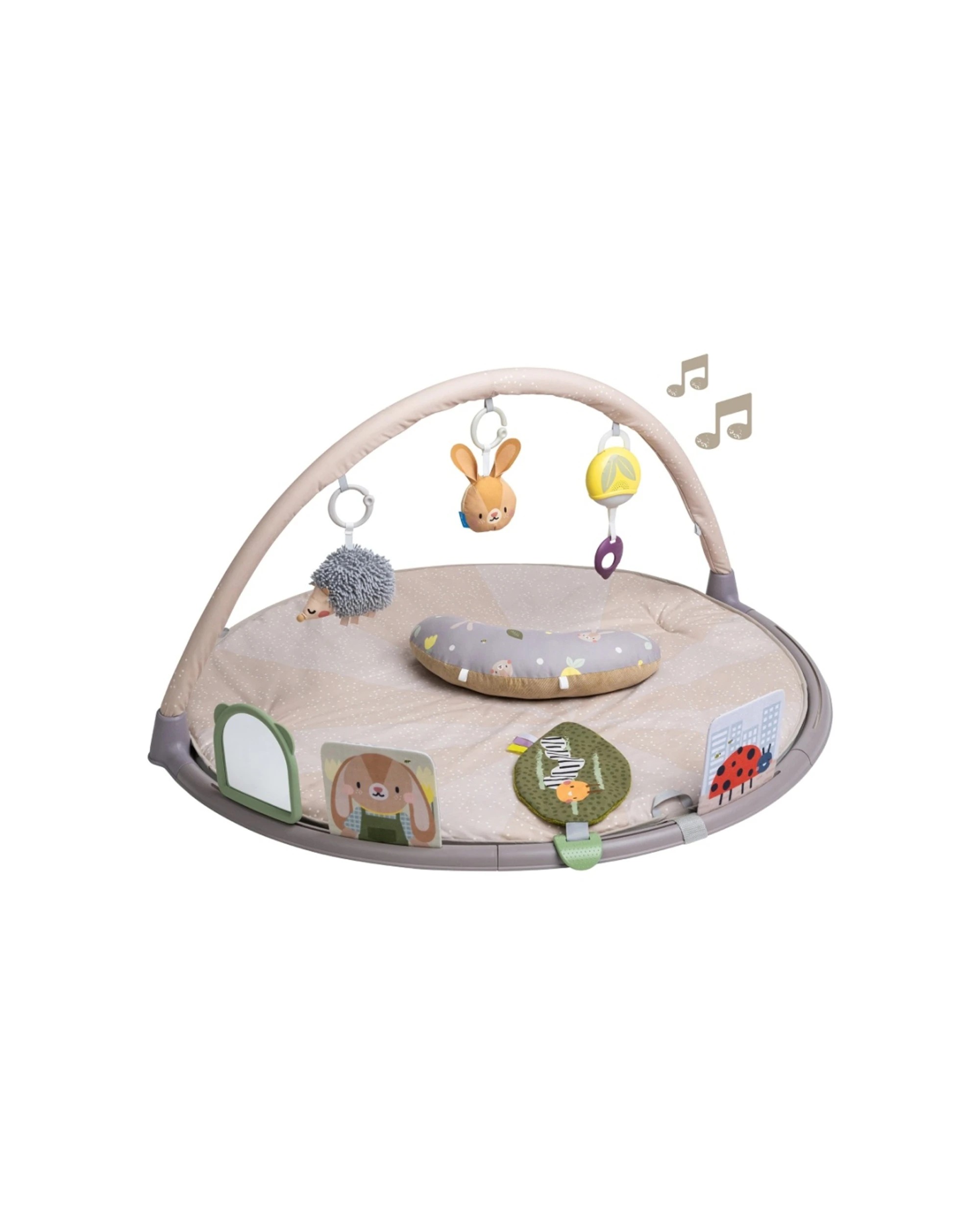 1 Taf Toys Tummy Time Activity Gym With Sensory Accessories And Padded Mat 87cm - Multi, 1 of 1