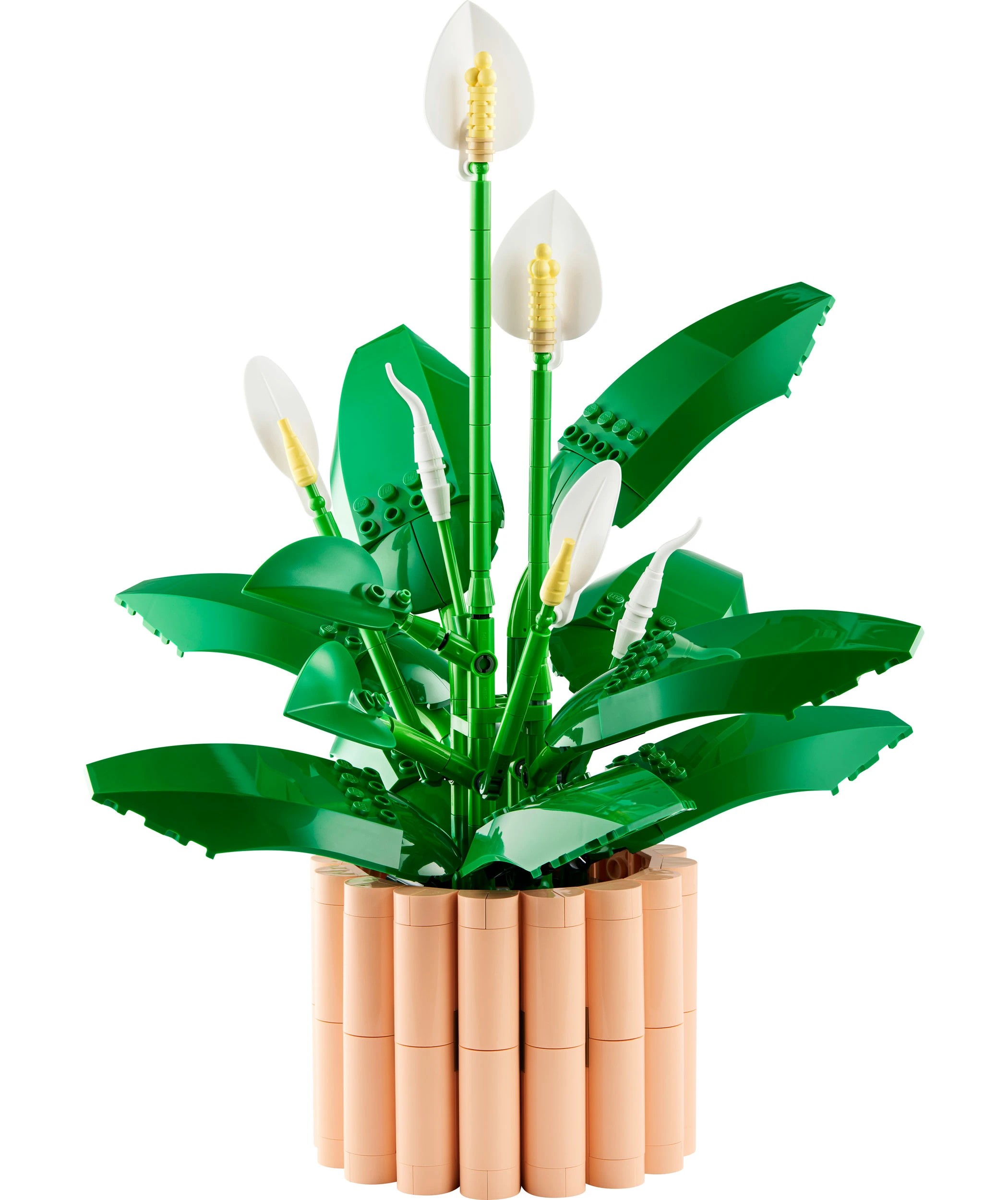 2 LEGO Botanicals Peace Lily 11504, 2 of 10