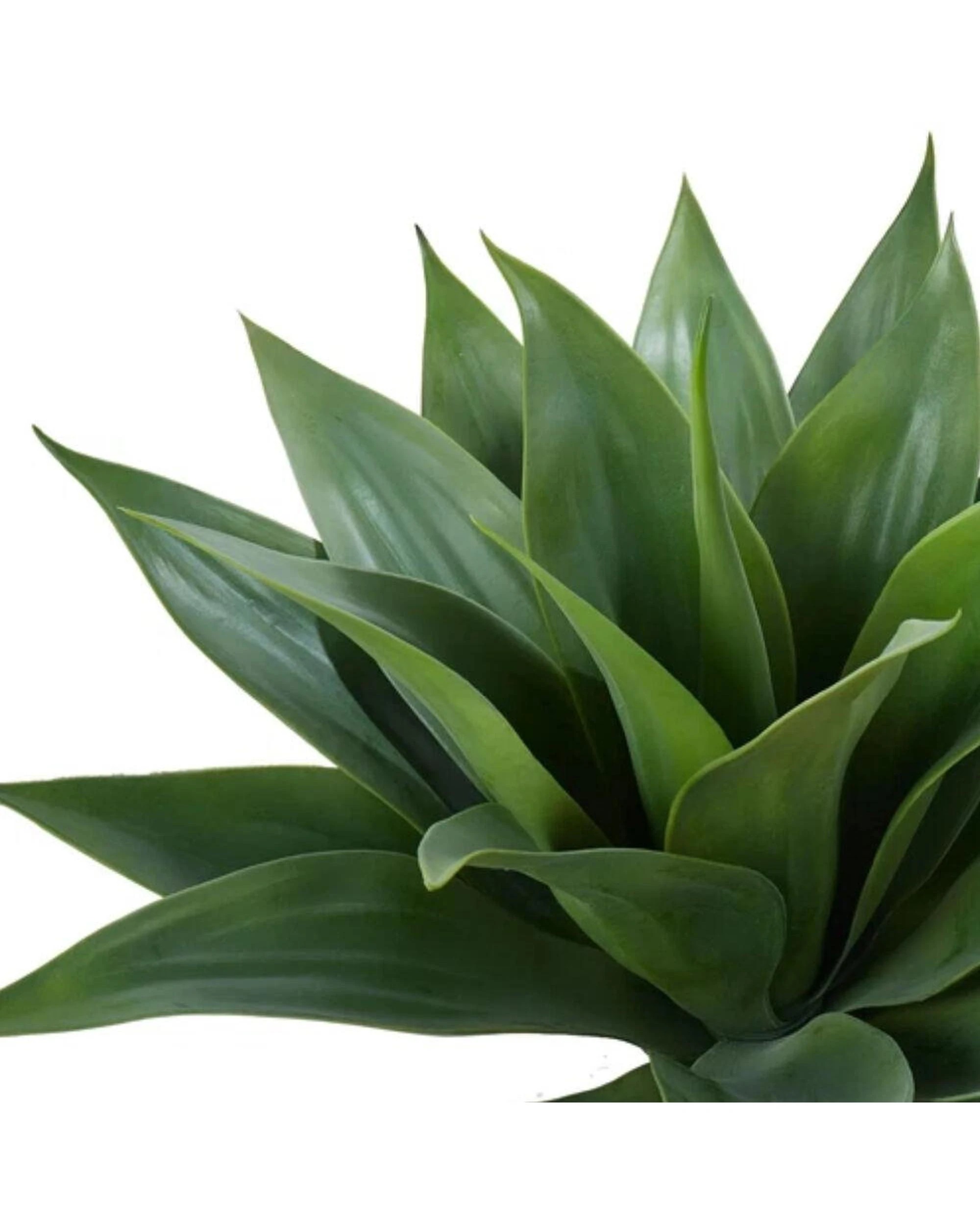 2 Rogue Agave Artificial Succulent Indoor Greenery Fake Plant 65x66x45cm - Green, 2 of 2