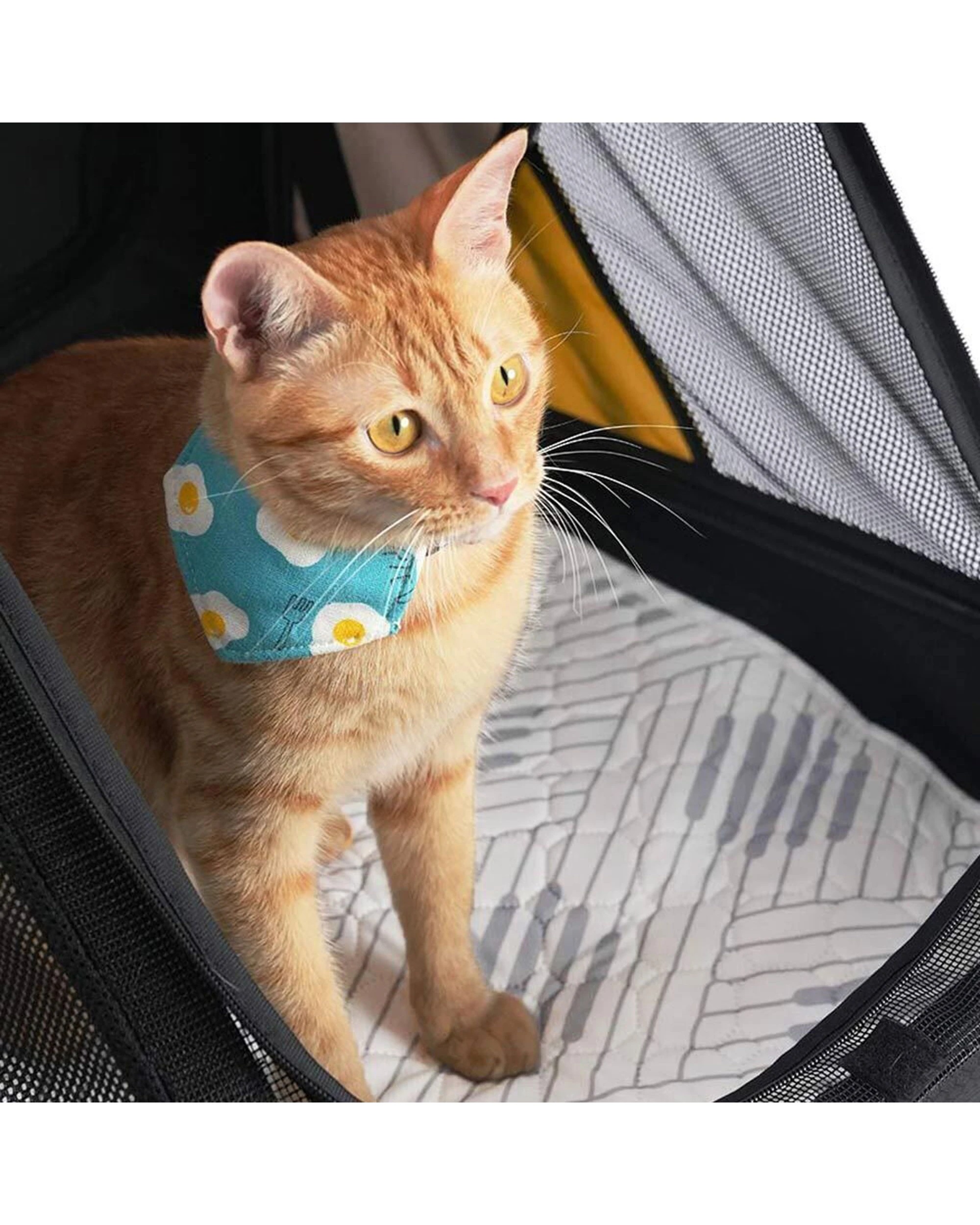 2 Ibiyaya Reusable Pet Underpad For Strollers And Carriers Nordic Fusion - Multi, 2 of 3