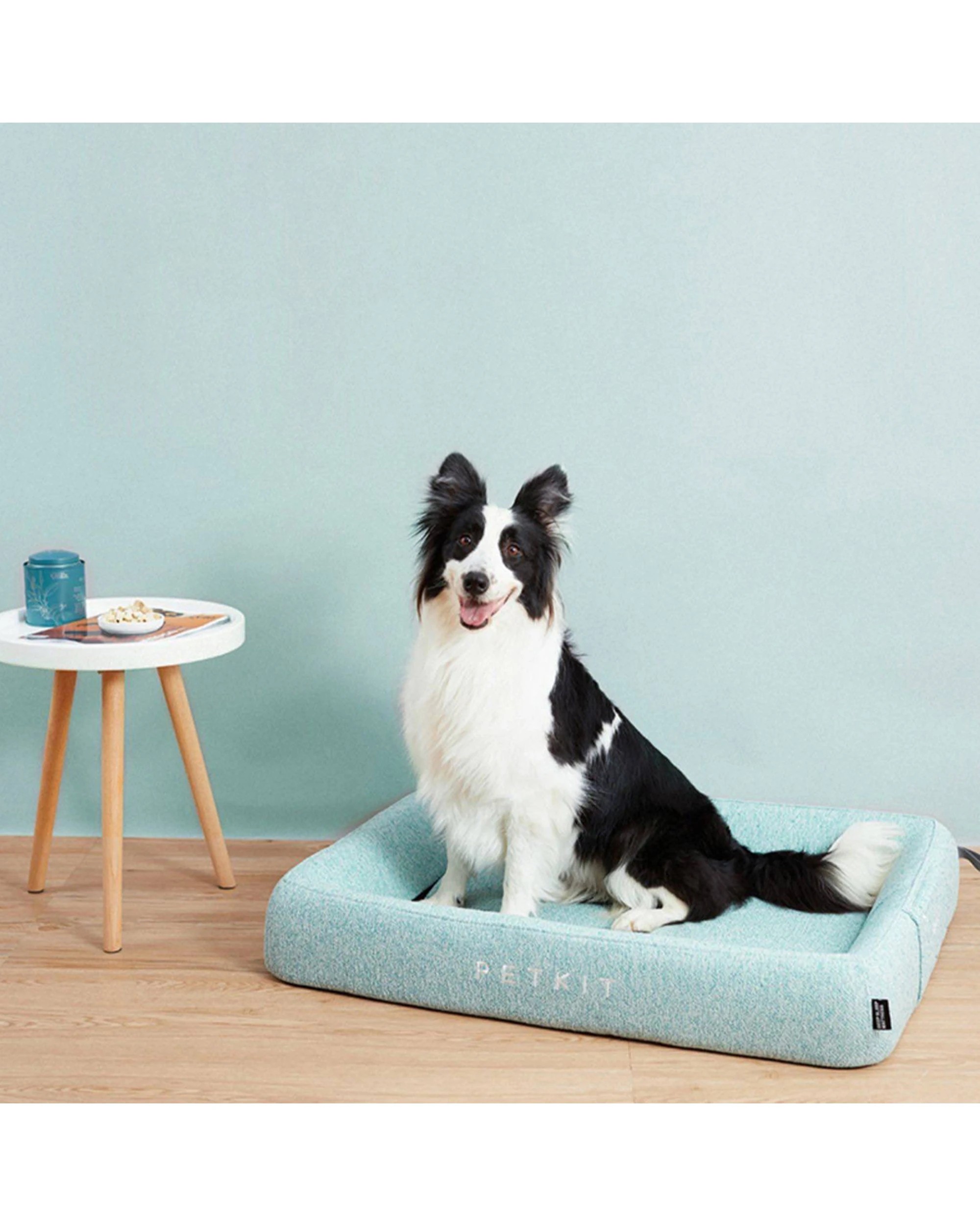 2 Petkit Four Season Deep Sleep Pet Cat Bed Large Orthopaedic Support Memory Foam - Green, 2 of 3