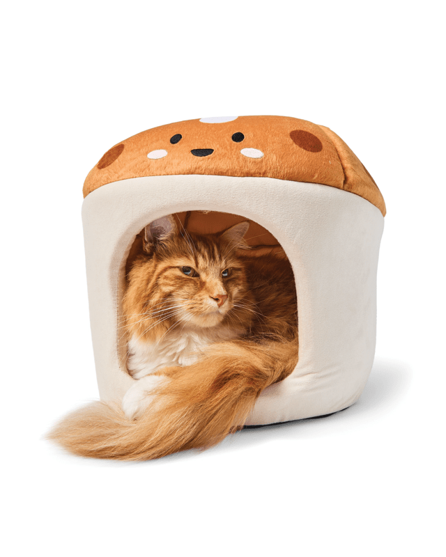 Cat Easter Hot Cross Bun 