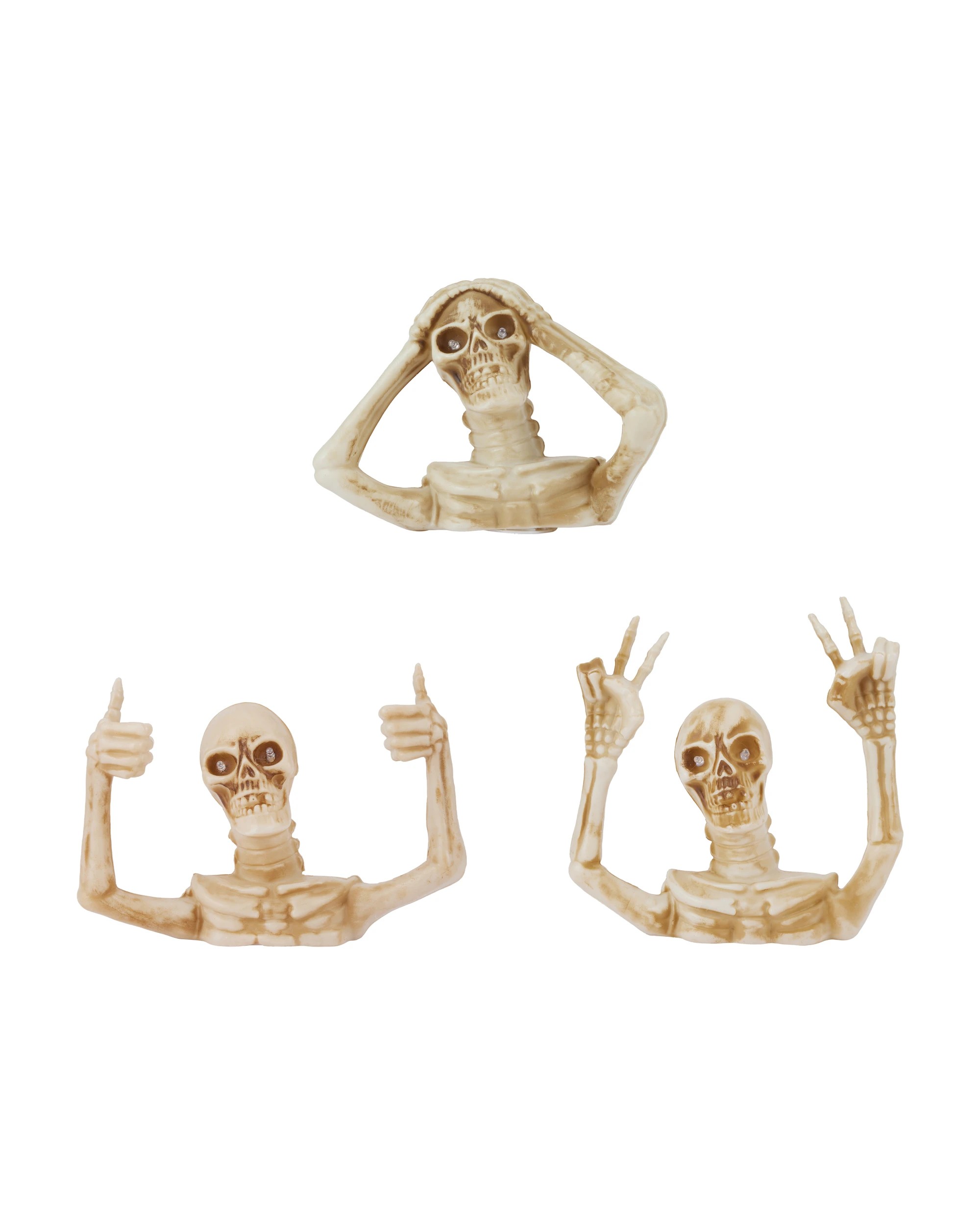 2 Light Up Skeleton Torso - Assorted, 2 of 6