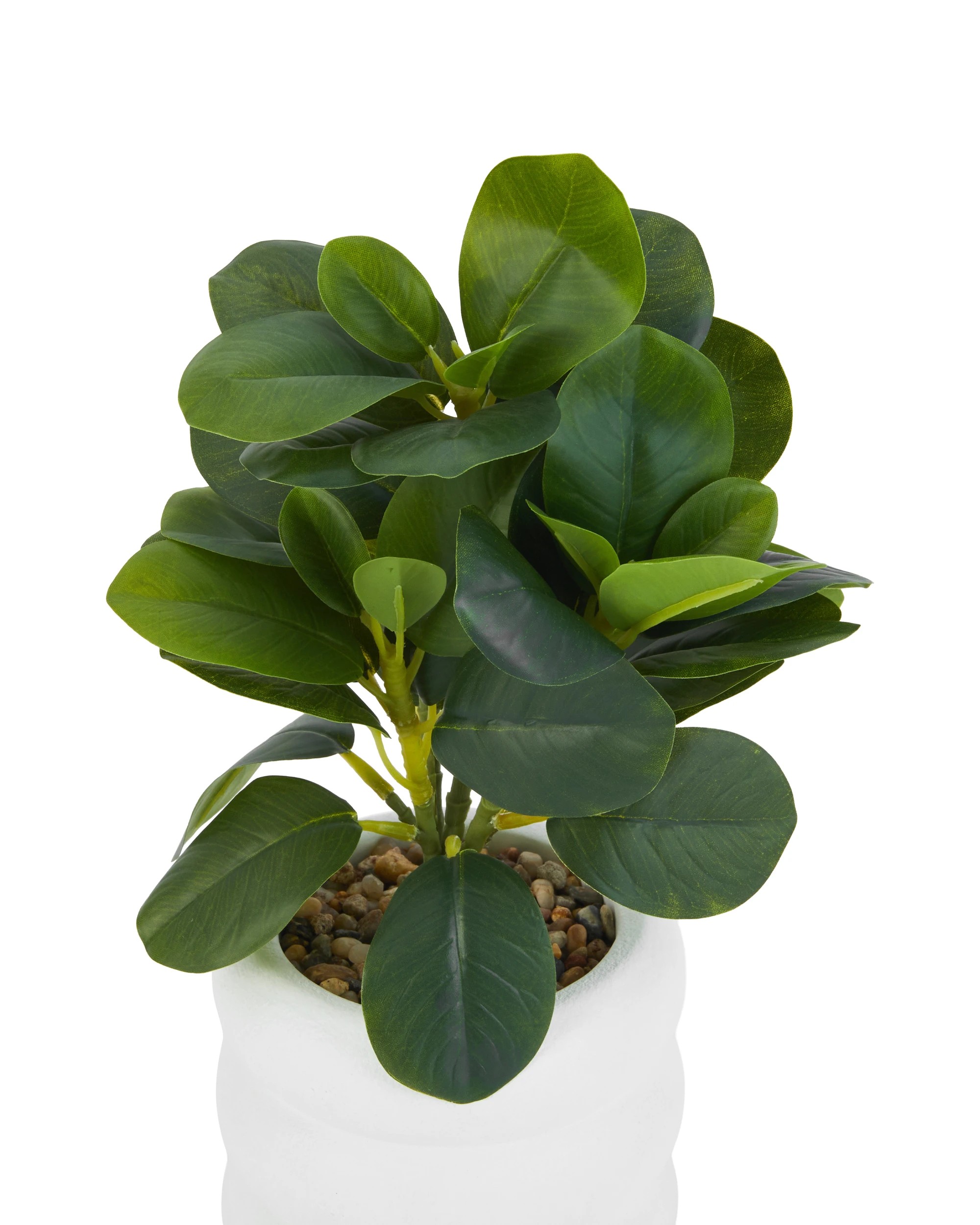 2 Artificial Peperomia Plant in Pot, 2 of 3