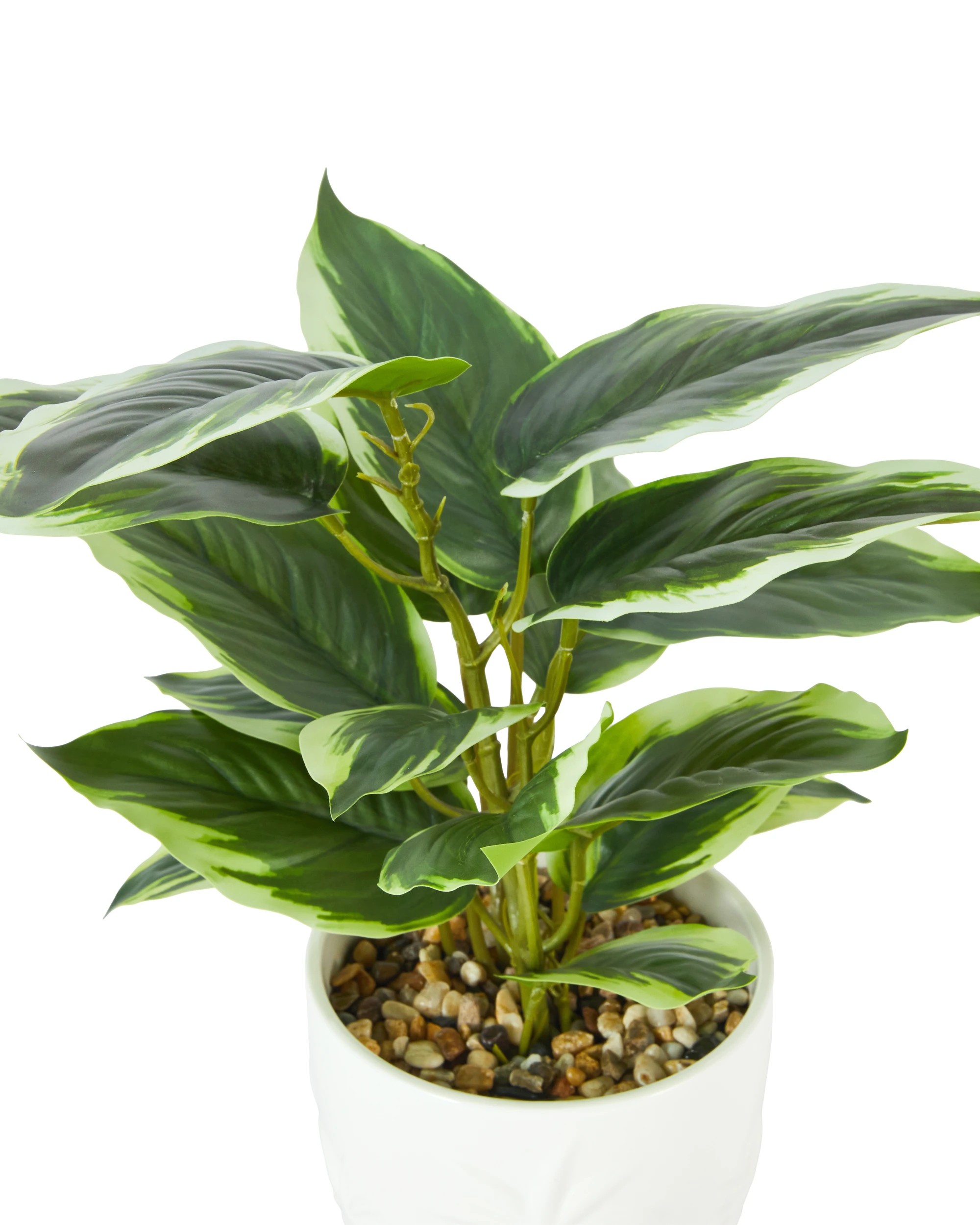 2 Artificial Leopard Lily Plant in Palm Pot, 2 of 3