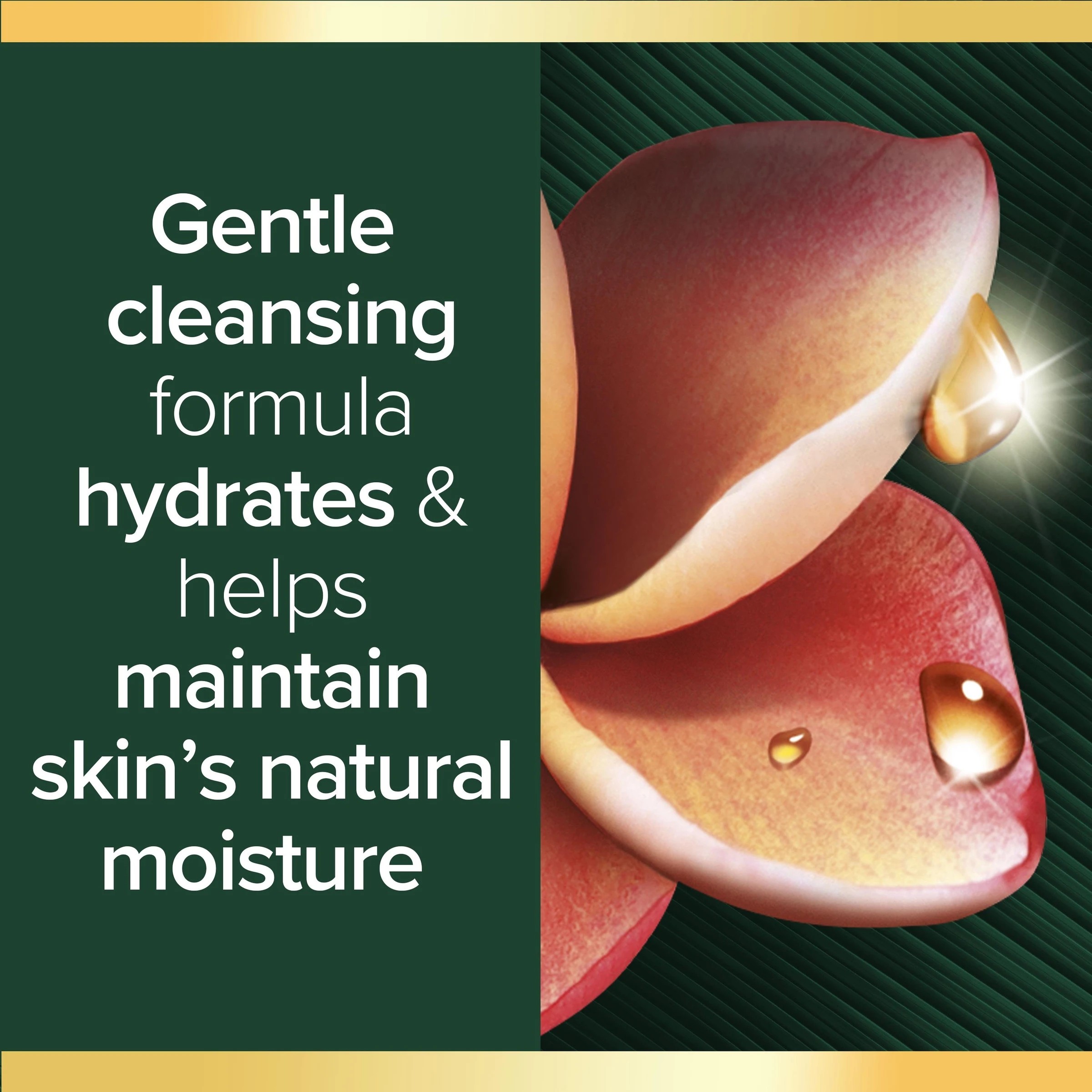 5 Palmolive Luminous Oils Body Wash 750ml - Northern New South Wales Frangipani and Coconut, 5 of 9