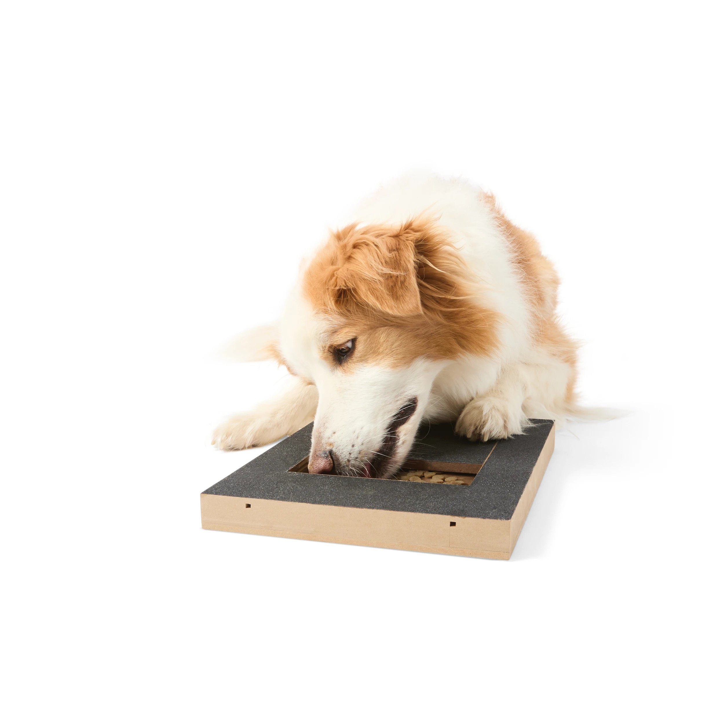 2 Nail Scratch Treat Dispenser, 2 of 10