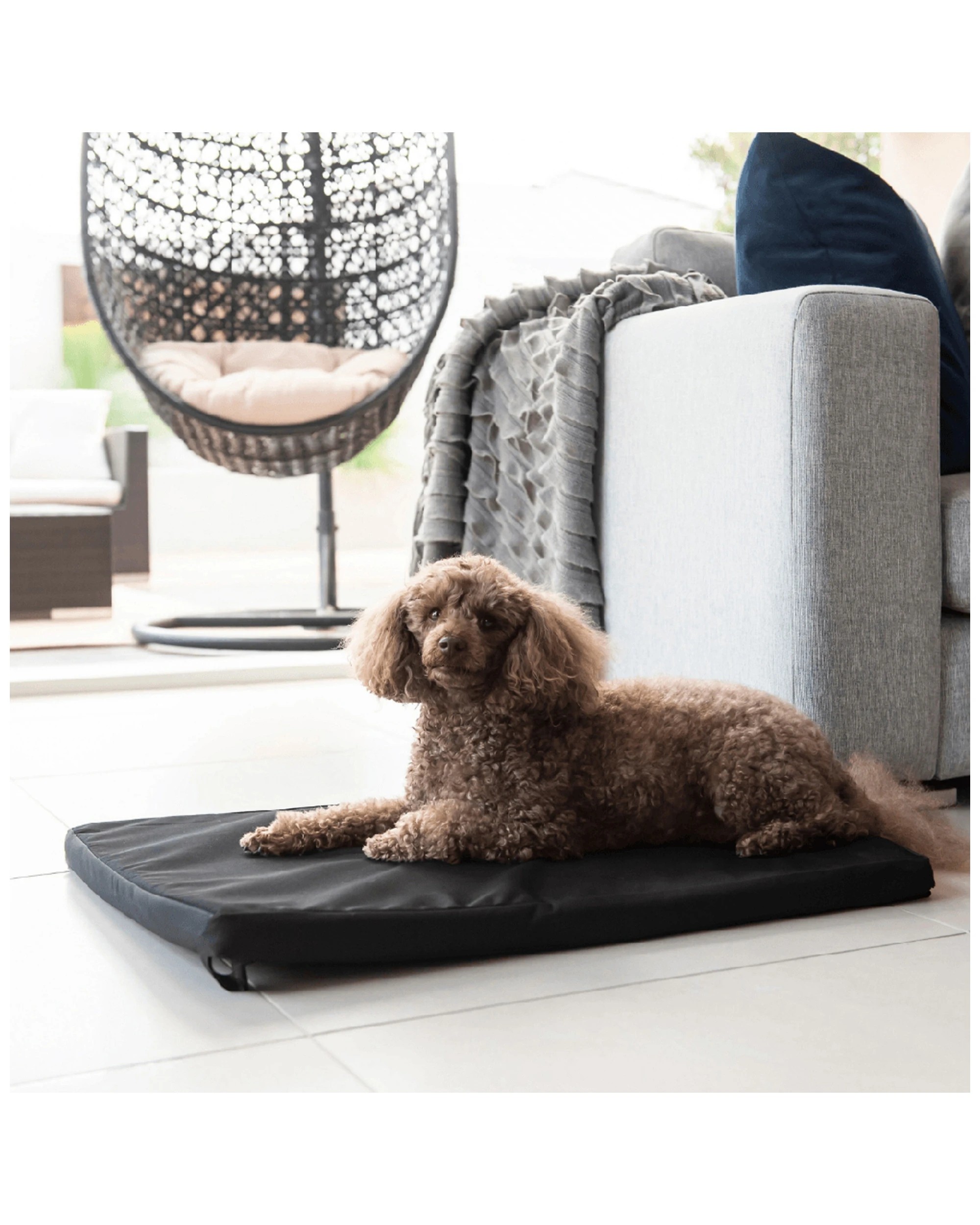 3 Superior Pet Essentials Canvas Dog Mat Mini Portable Design 54 x 4 x 70 cm - Black, 3 of 3