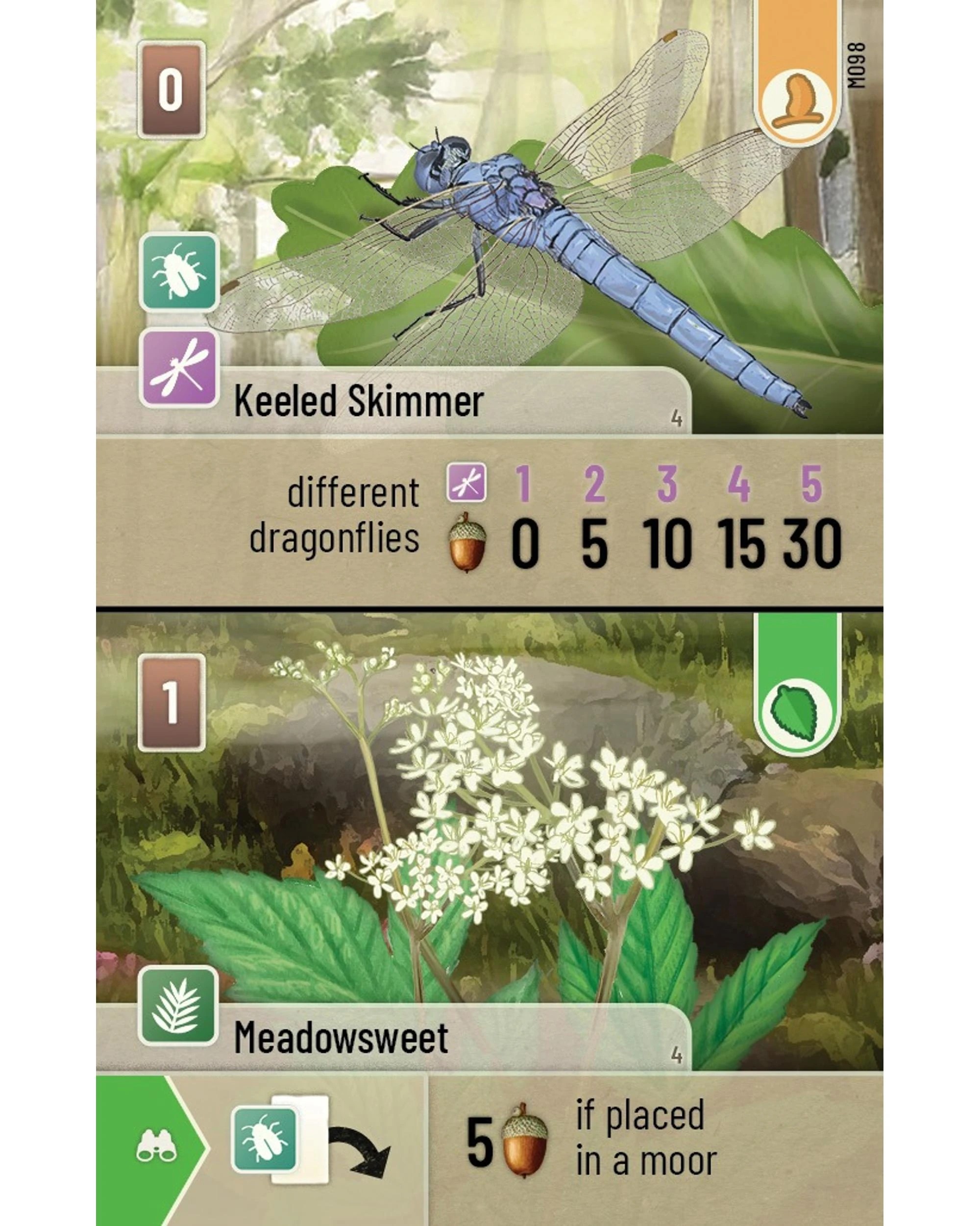 5 Forest Shuffle: Dartmoor Card Game, 5 of 5