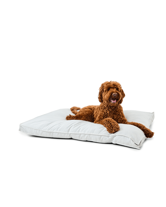Pet Bed Rectangle Striped - Extra L