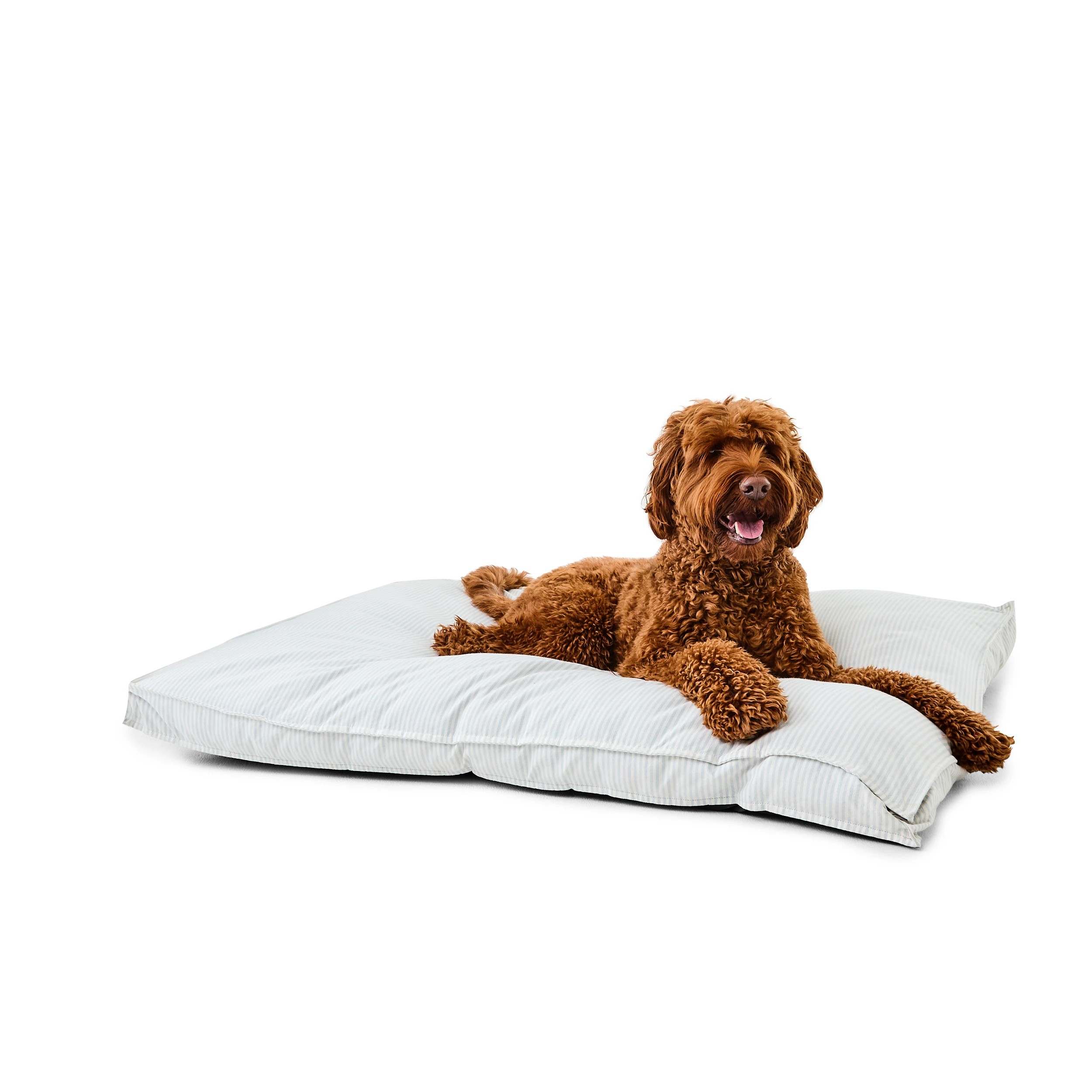1 Pet Bed Rectangle Striped - Extra Large, 1 of 8