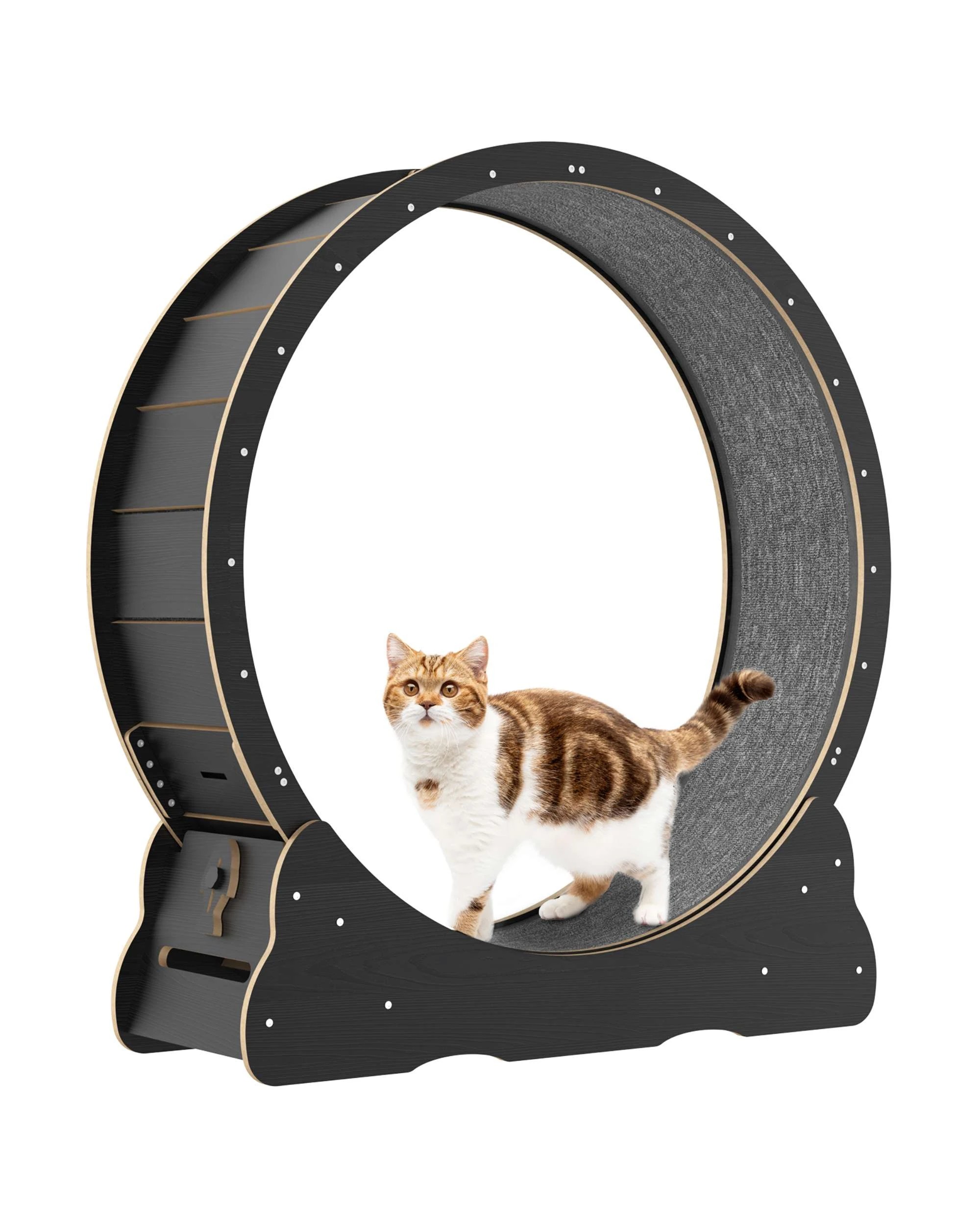 1 Advwin Cat Exercise Wheel Pet Running Exerciser Treadmill Scratcher Board, 1 of 7