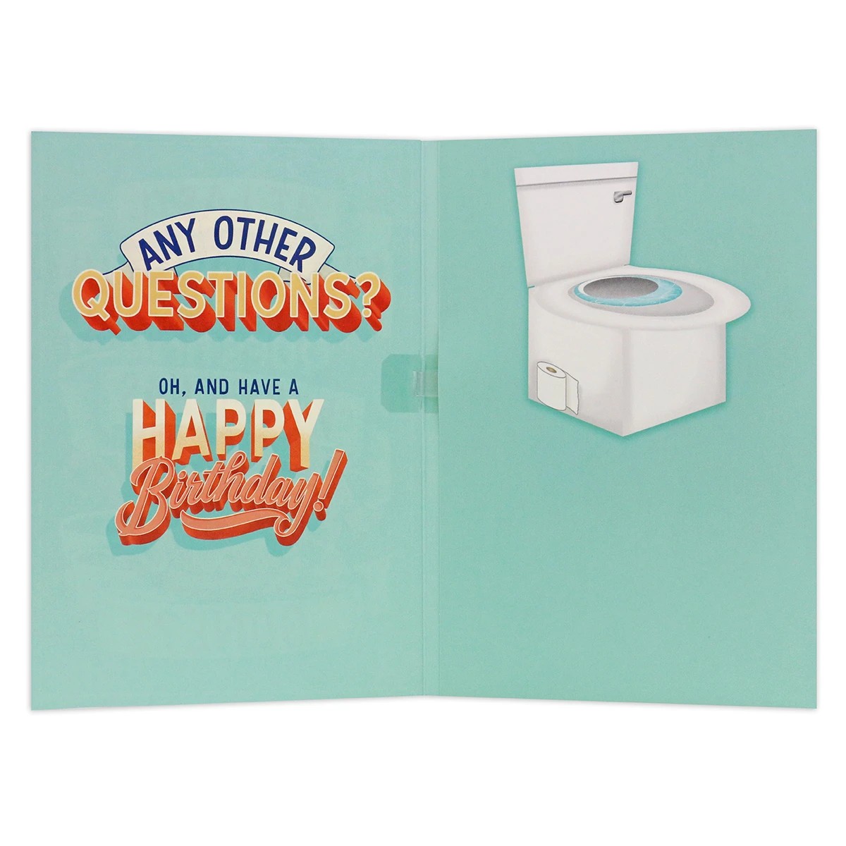 2 Hallmark Interactive Sound Birthday Card - Where Has Another Year Gone?, 2 of 4