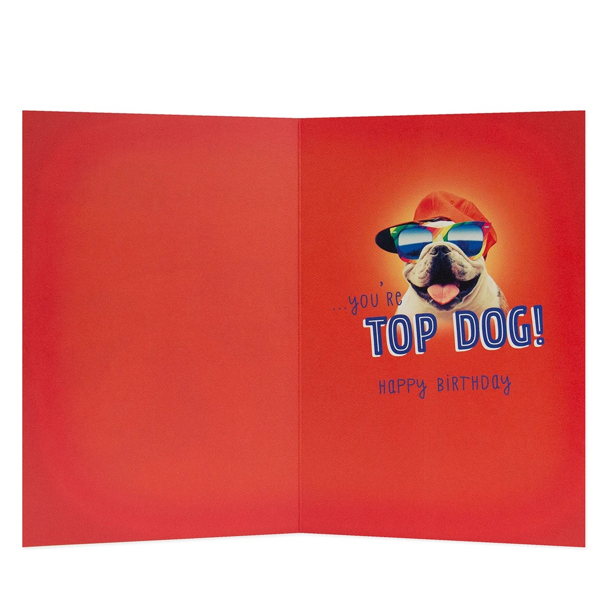 2 Connections from Hallmark Birthday Card - Cool Bulldog, 2 of 3