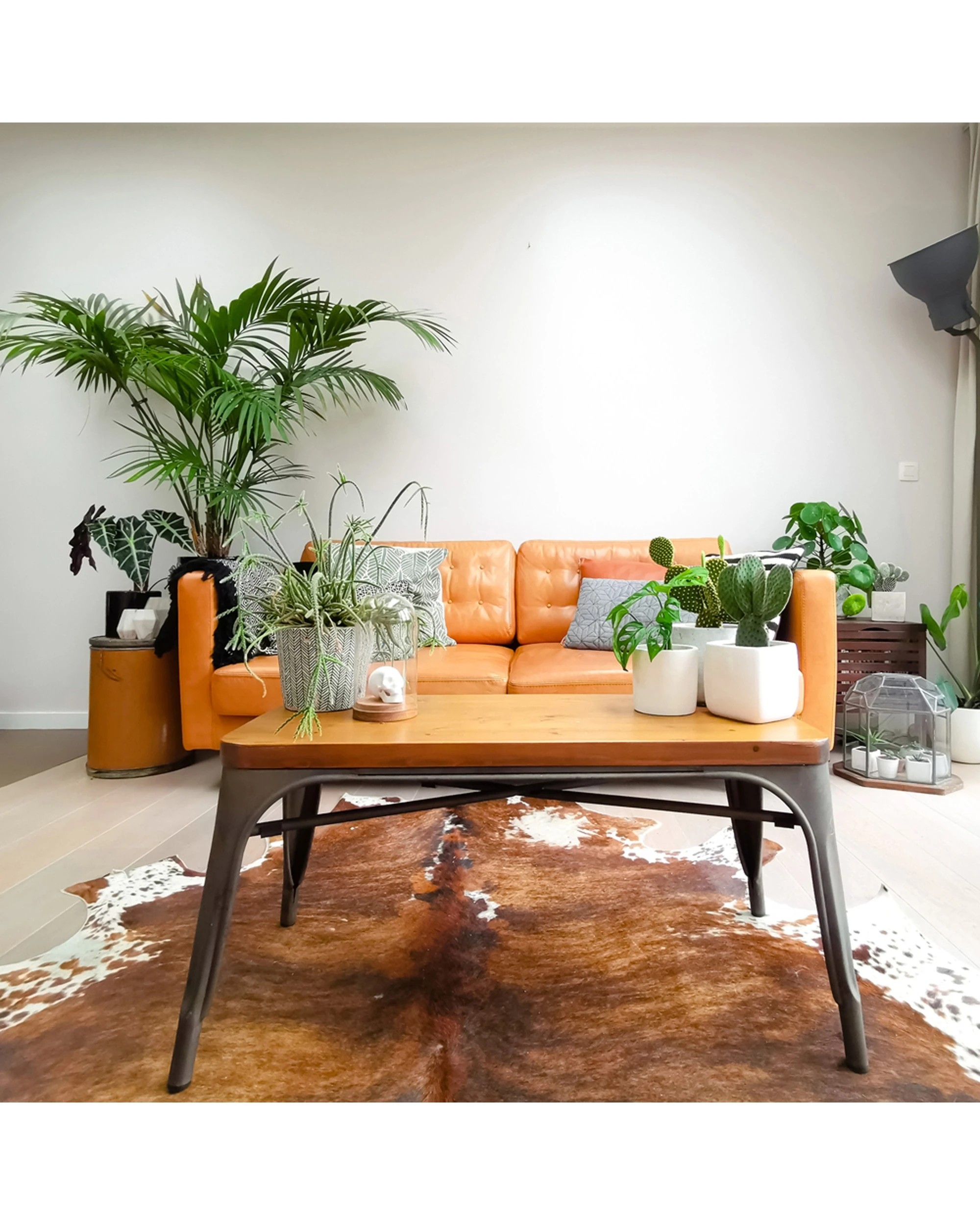 6 Boyle Genuine Cowhide Rug Handcrafted Durable Unique Indoor Rug - Multi, 6 of 6