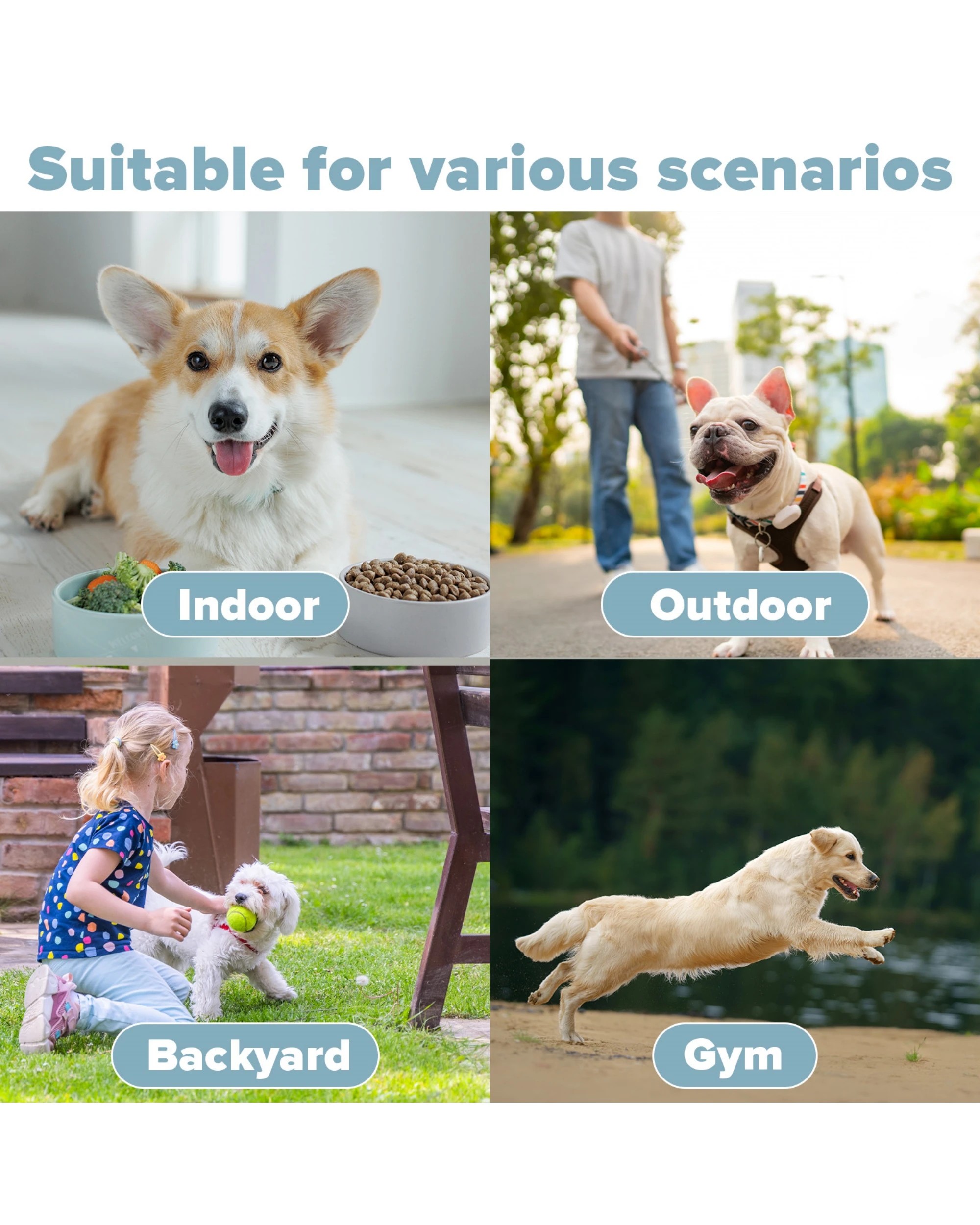 5 Advwin Automatic Dog Ball Launcher 6 Balls, 5 of 7