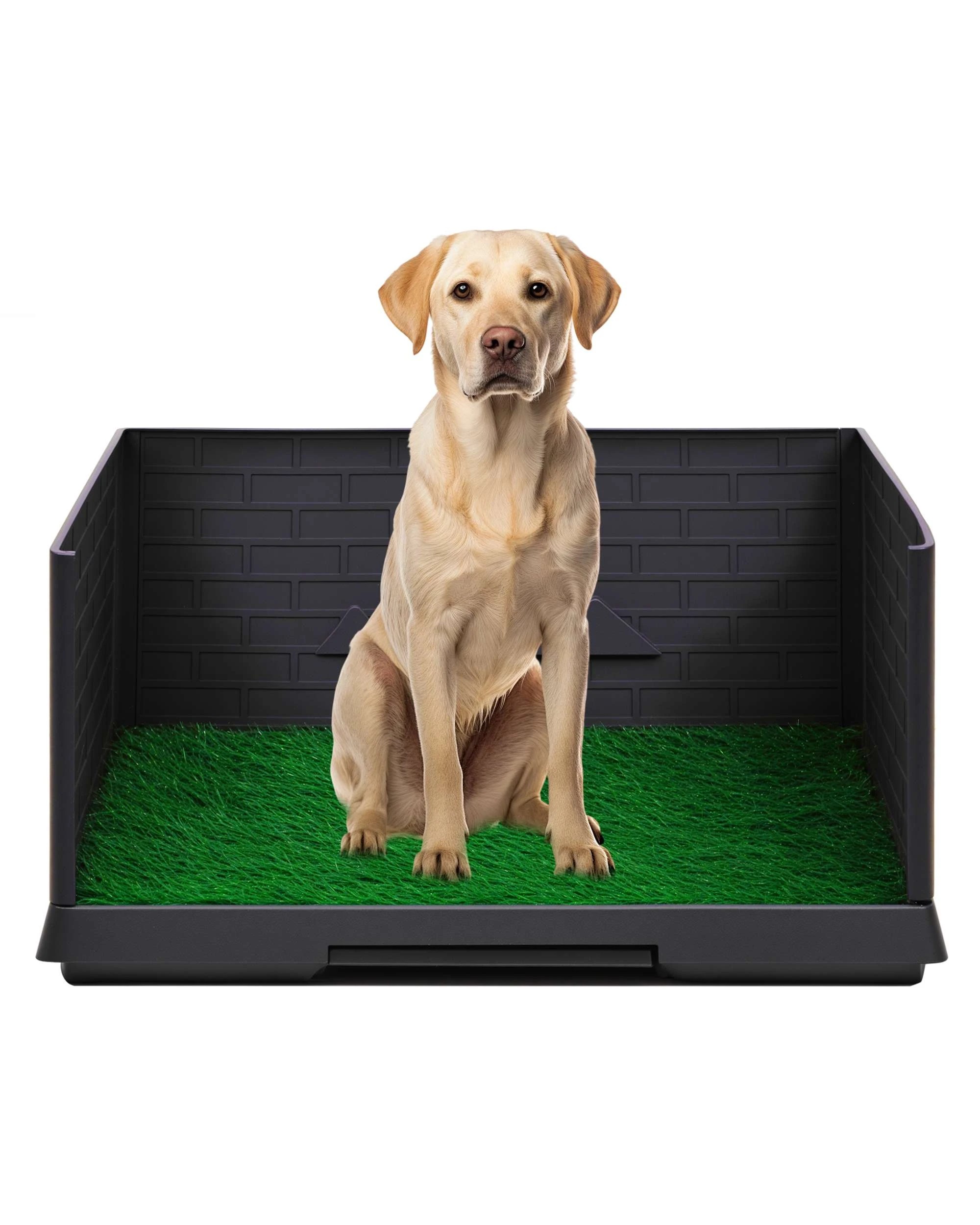 1 Advwin Dog Potty Training Pee Pad Mat Toilet, 1 of 7