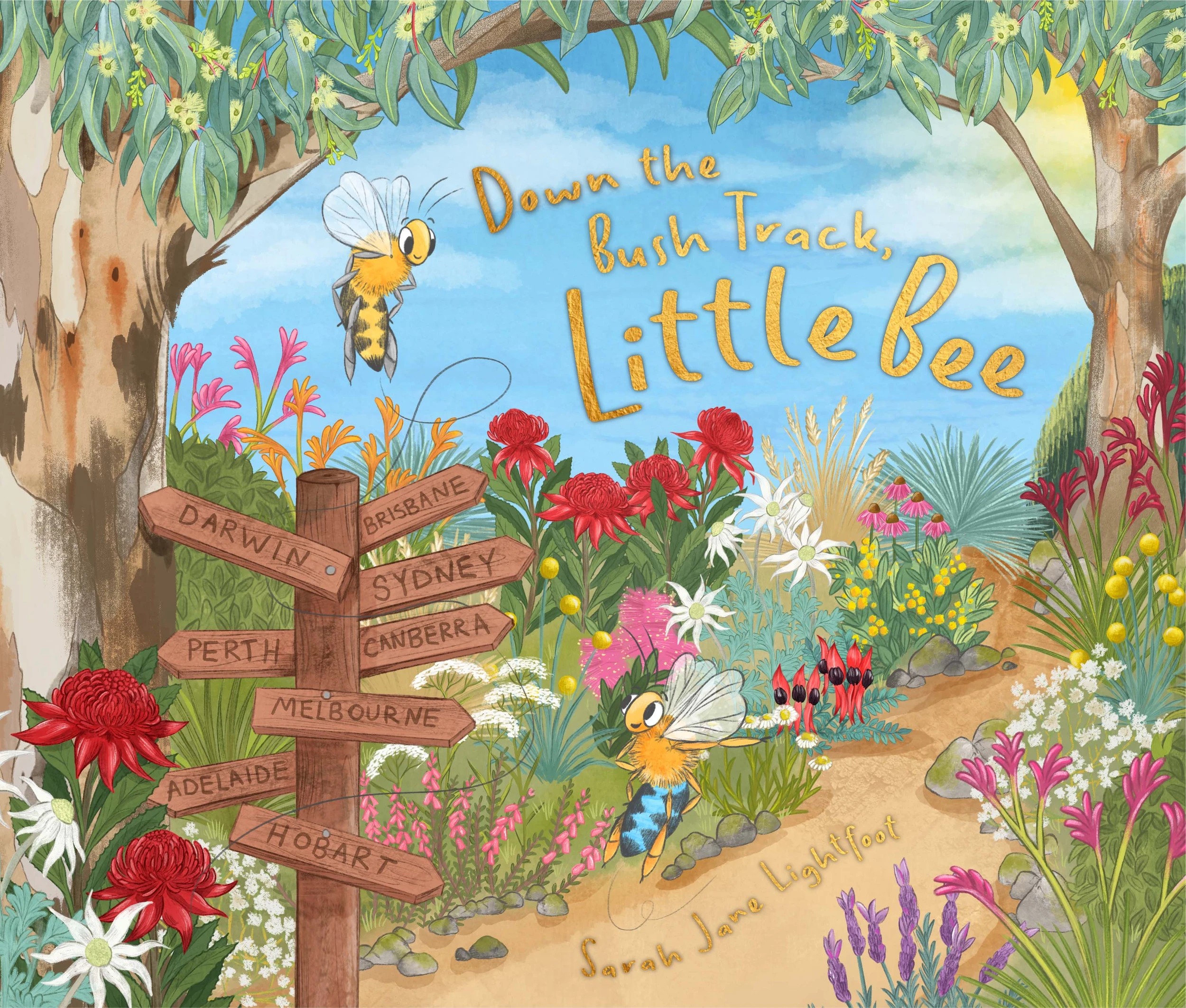 1 Down the Bush Track, Little Bee by Sarah Jane Lightfoot - Book, 1 of 1