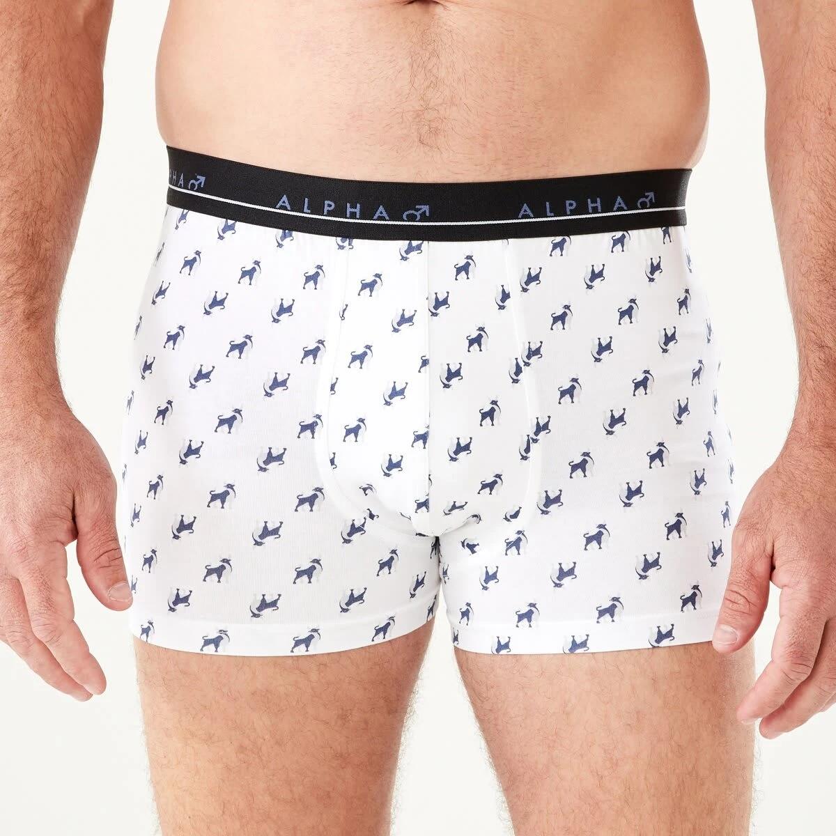 6 5 Pack Trunks BULL ICONS, 6 of 10