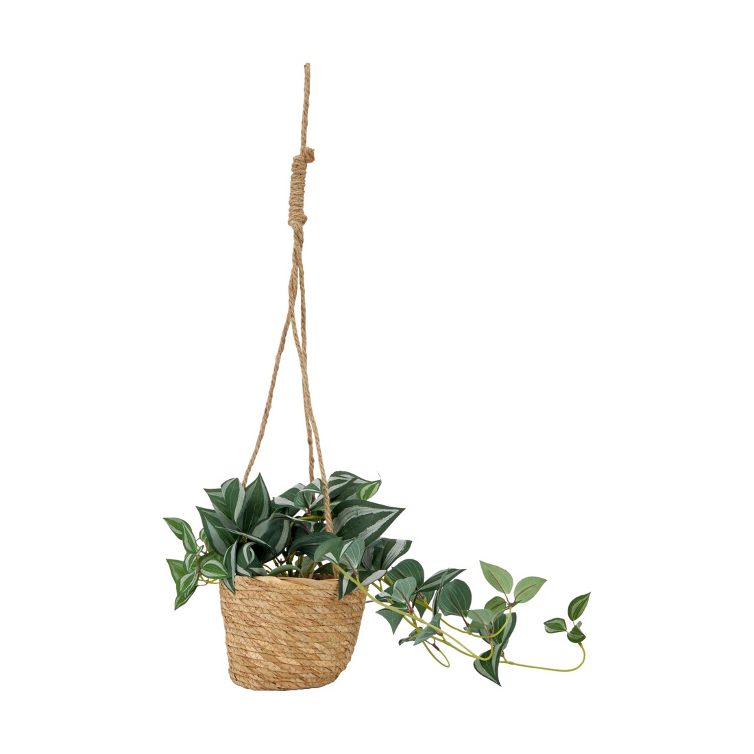 1 Artificial Zebrina in Hanging Pot, 1 of 5