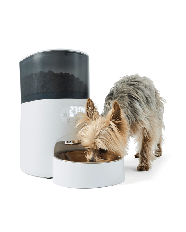 Automated 5L Pet Feeder - White and 