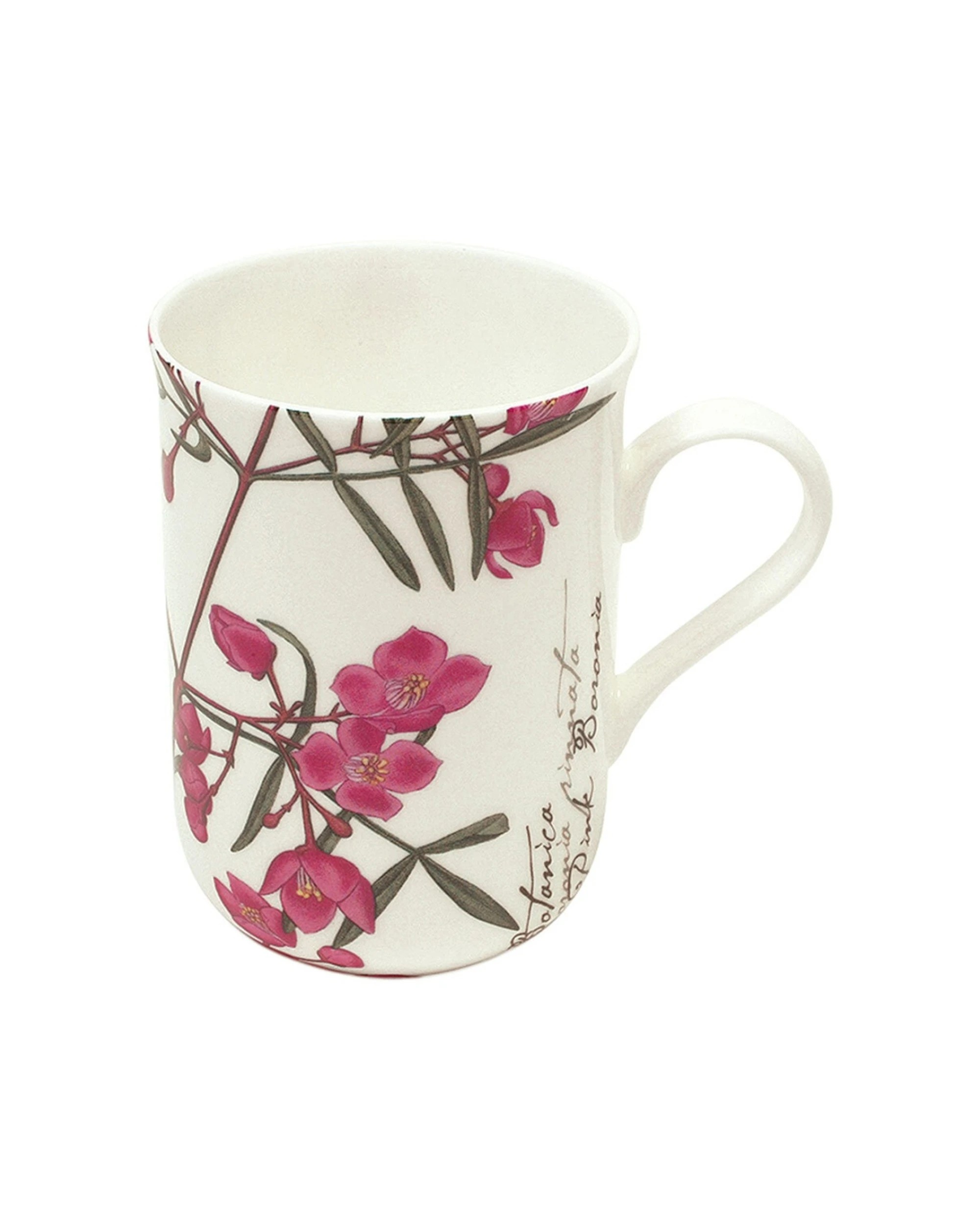 2 Maxwell & Williams 4x Botanic Mug Set 300ml Boronia - Multi, 2 of 2