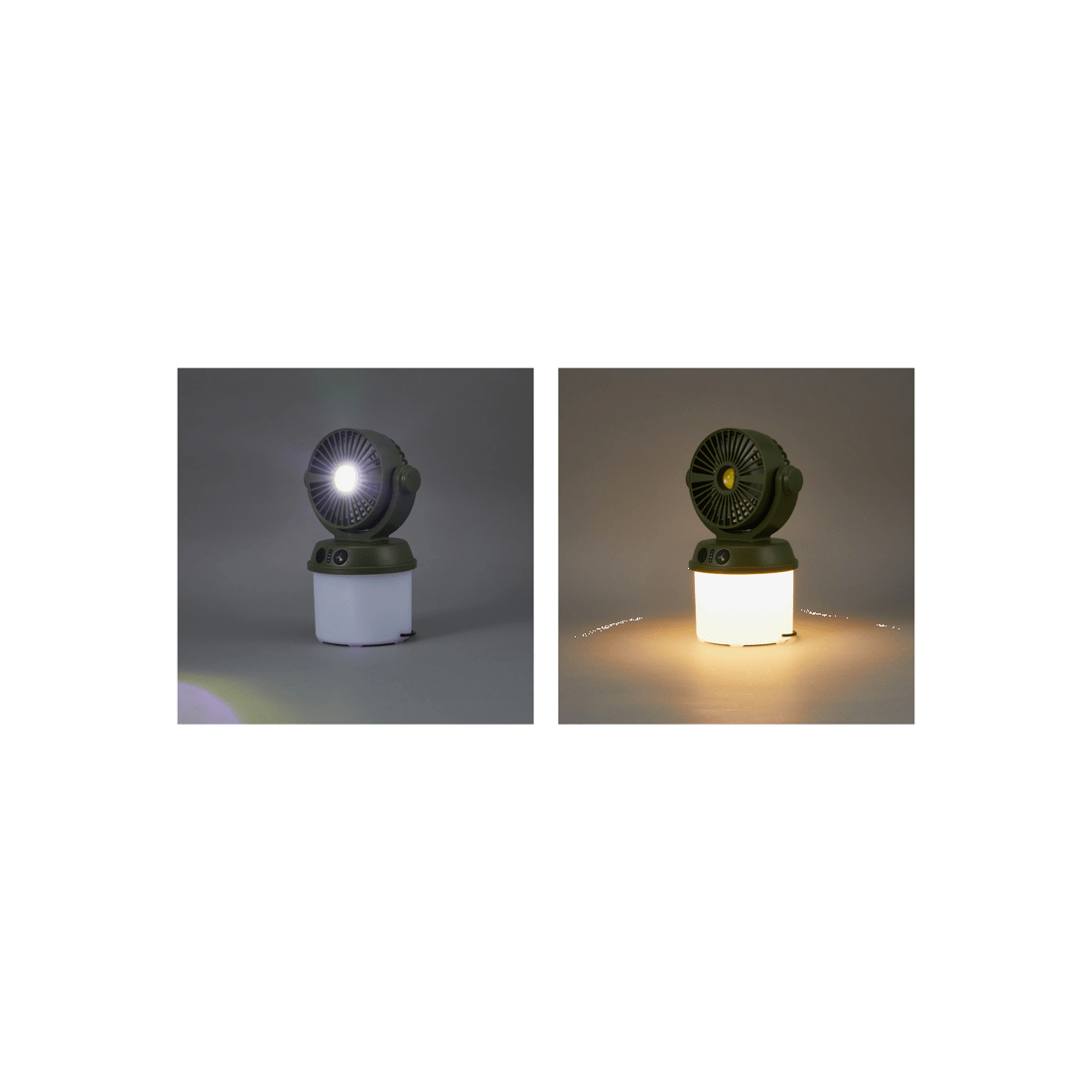 9 2 in 1 Fan Light, 9 of 10