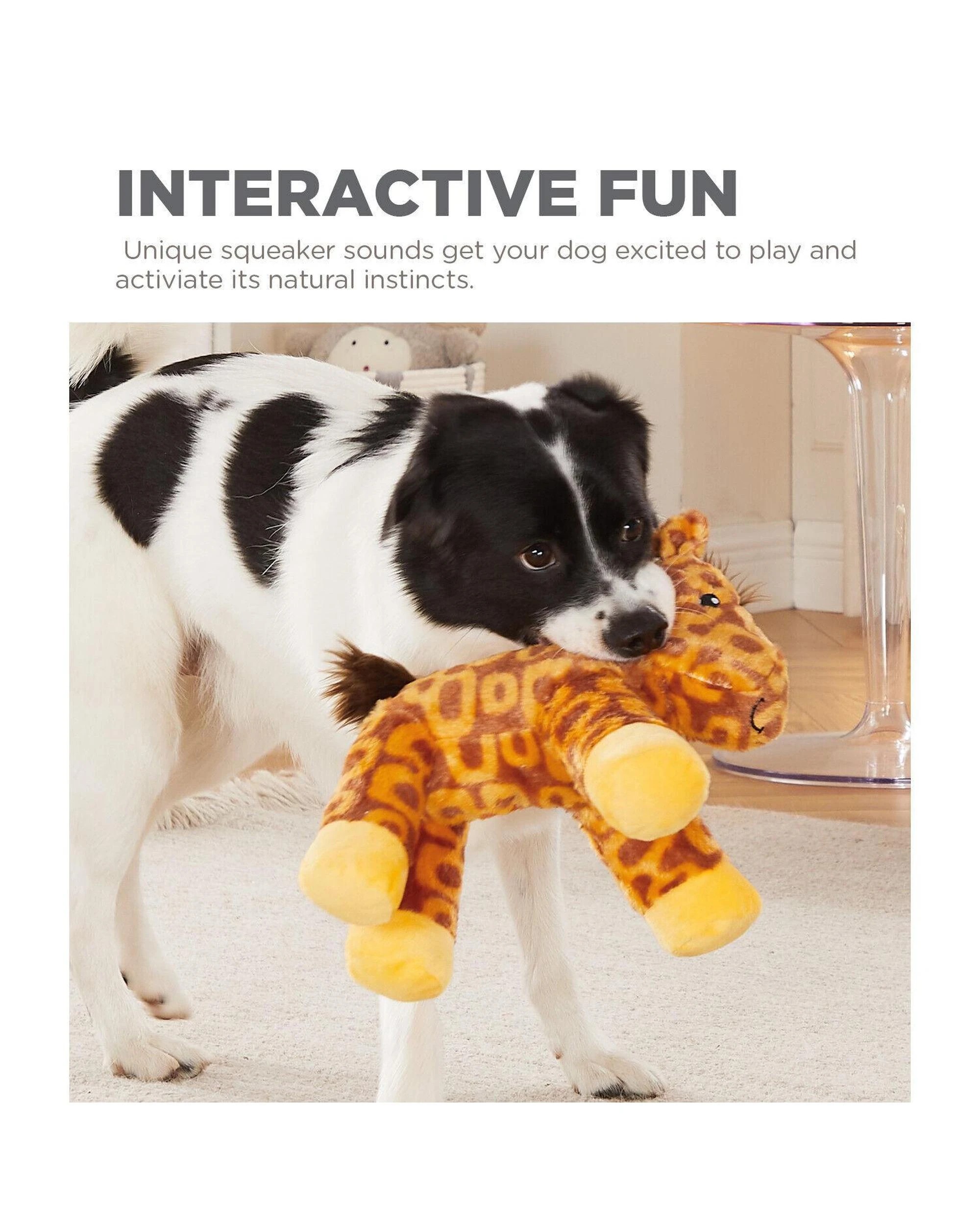 5 Outward Hound Groovy Hoovies Grunt & Squeak Interactive Plush Dog Toy, 5 of 7